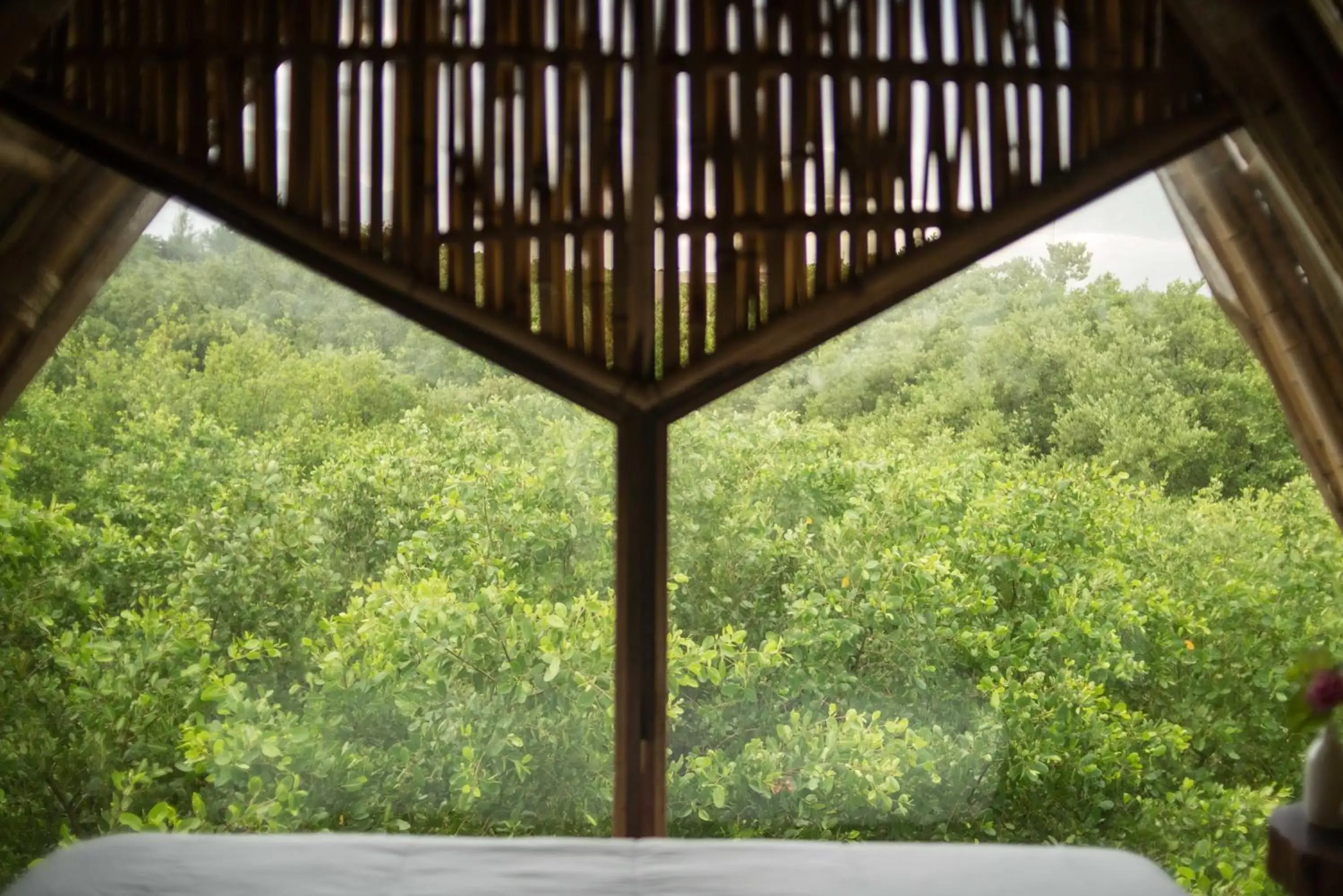 Garden view in Mamasan Treehouses & Cabins