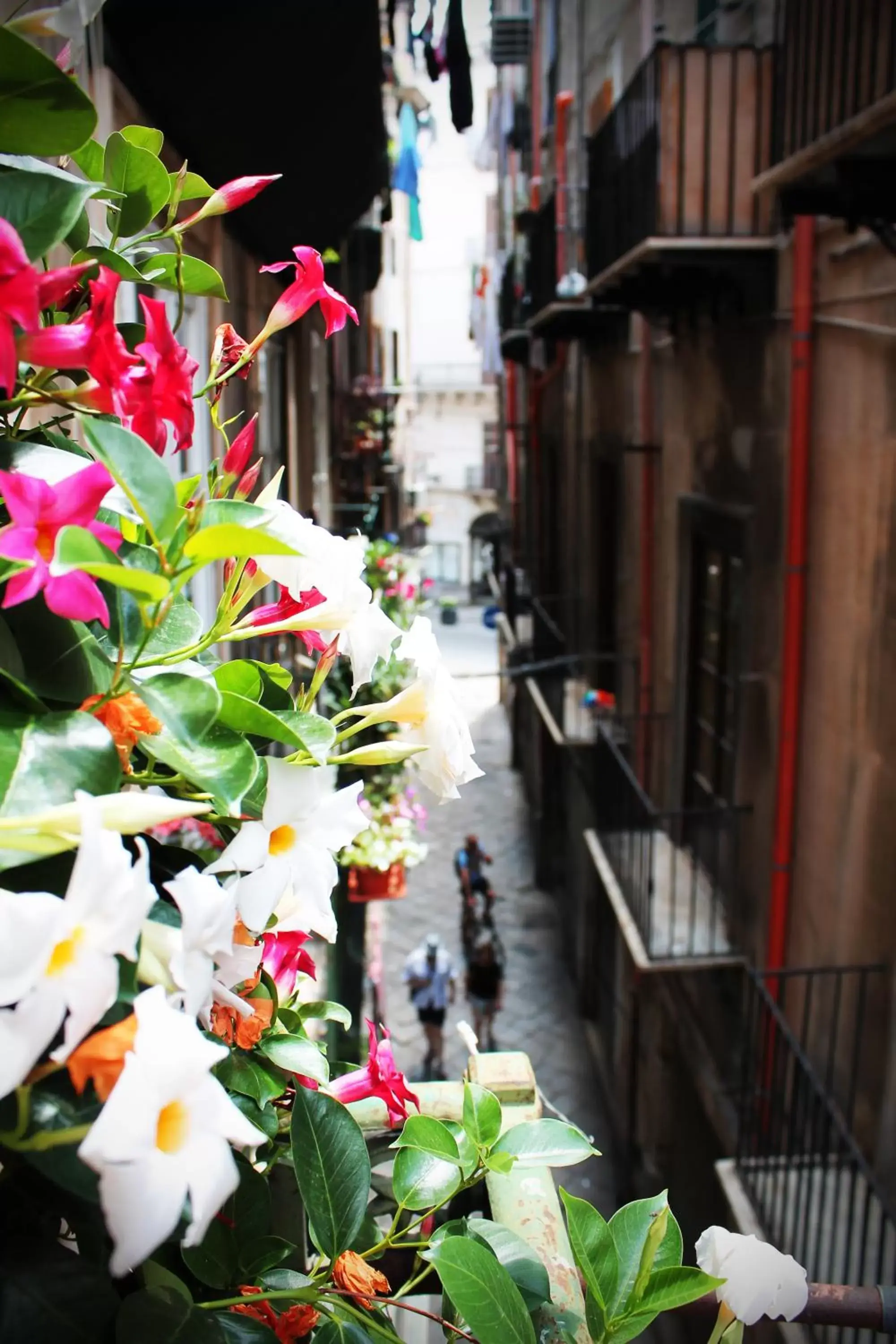 Street view in Palazzo delle Logge