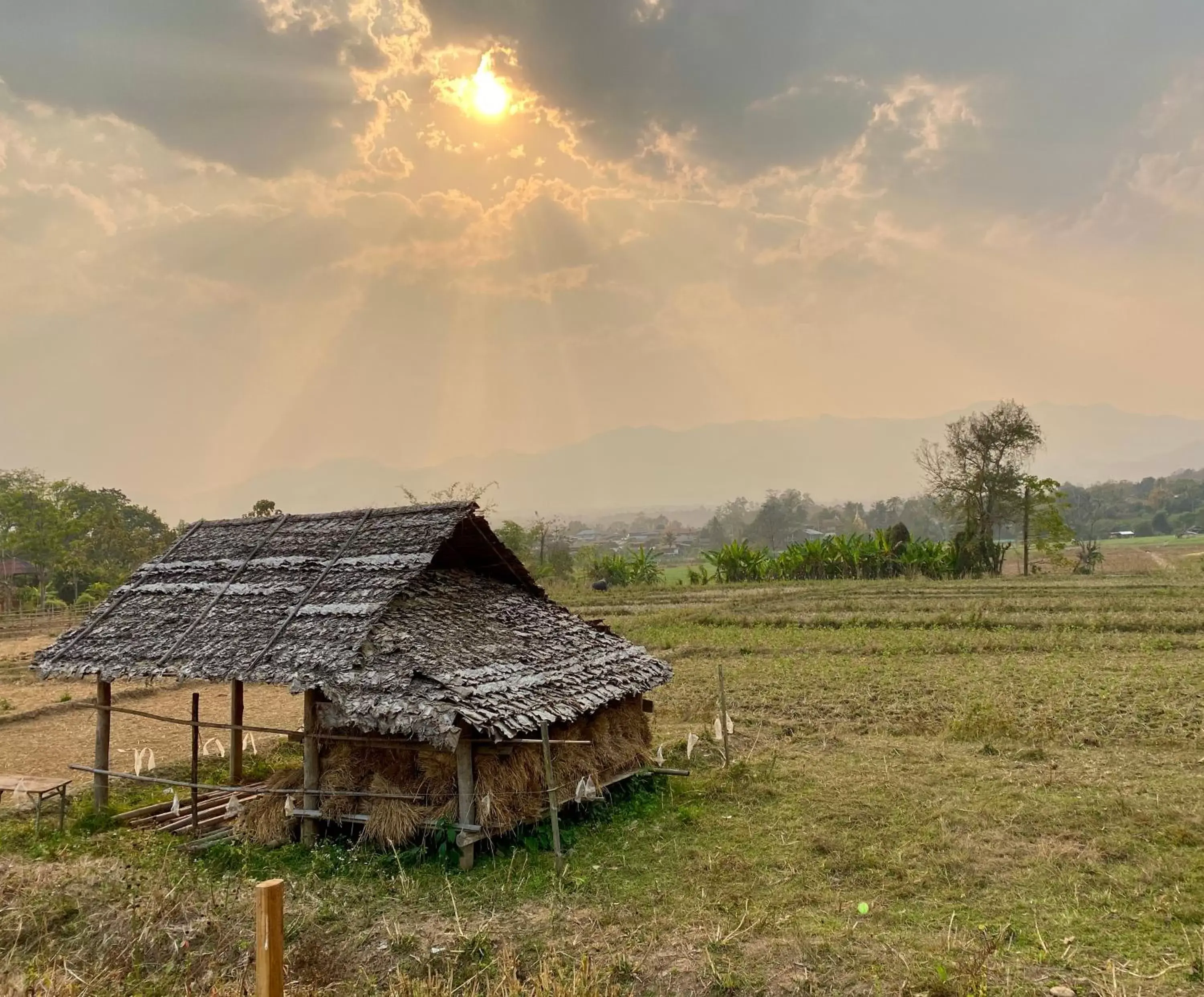 Neighbourhood in Pura Vida Pai Resort