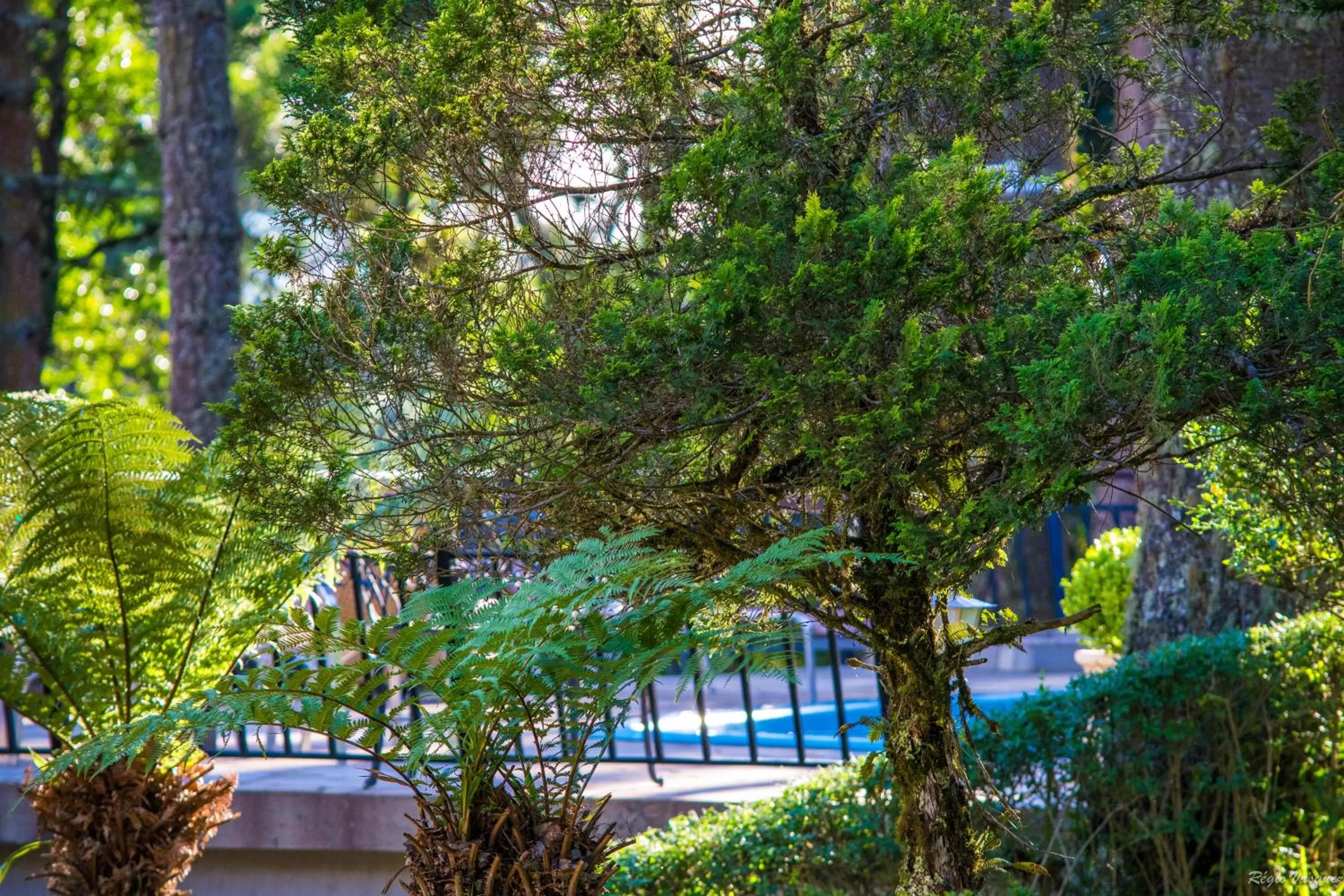 Day in Pousada Ricanto Amore Mio