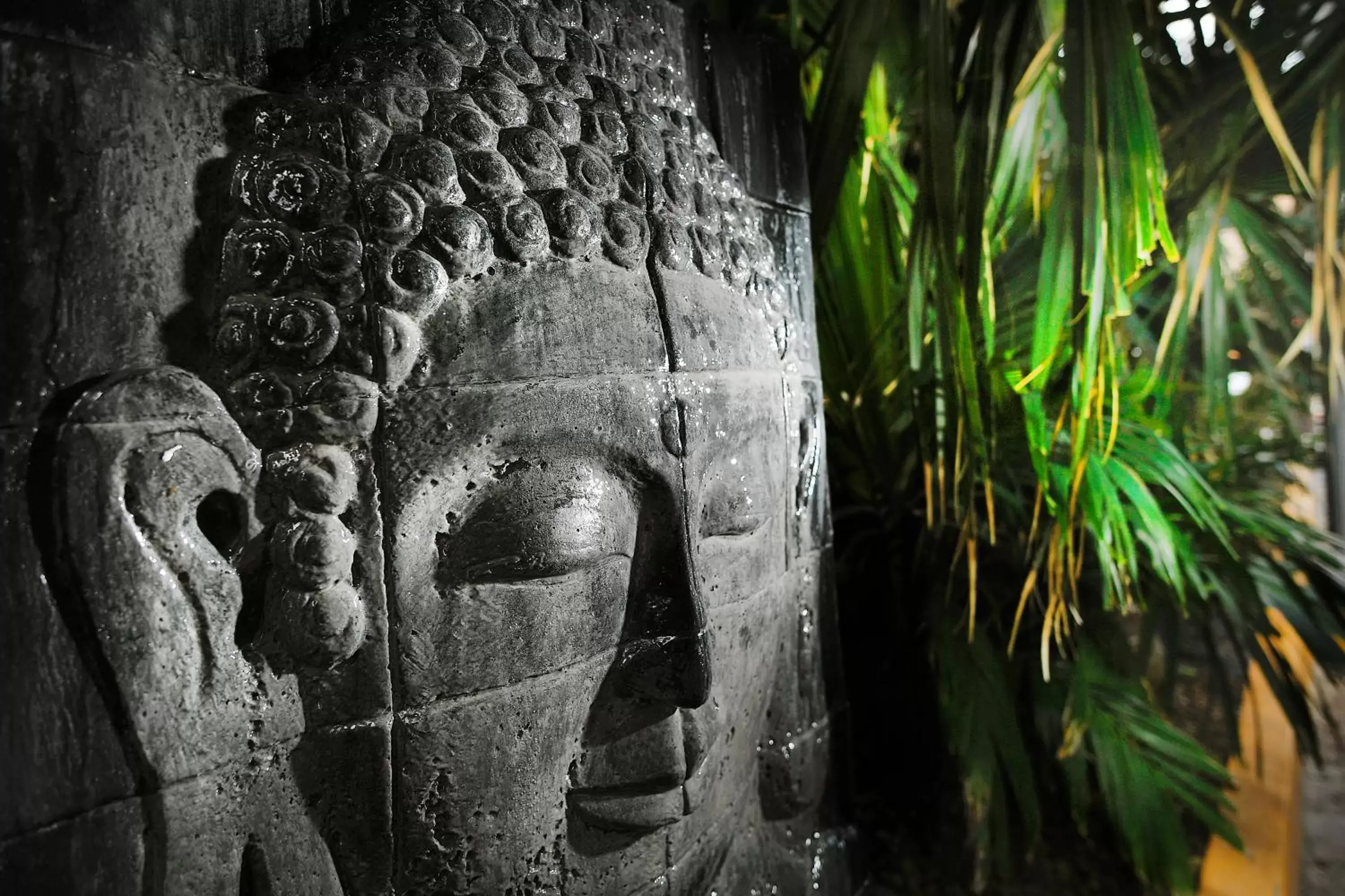 Logo/Certificate/Sign in El Taj Oceanfront and Beachside Condo Hotel Logo/Certificate/Sign in El Taj Oceanfront and Beachside Condo Hotel