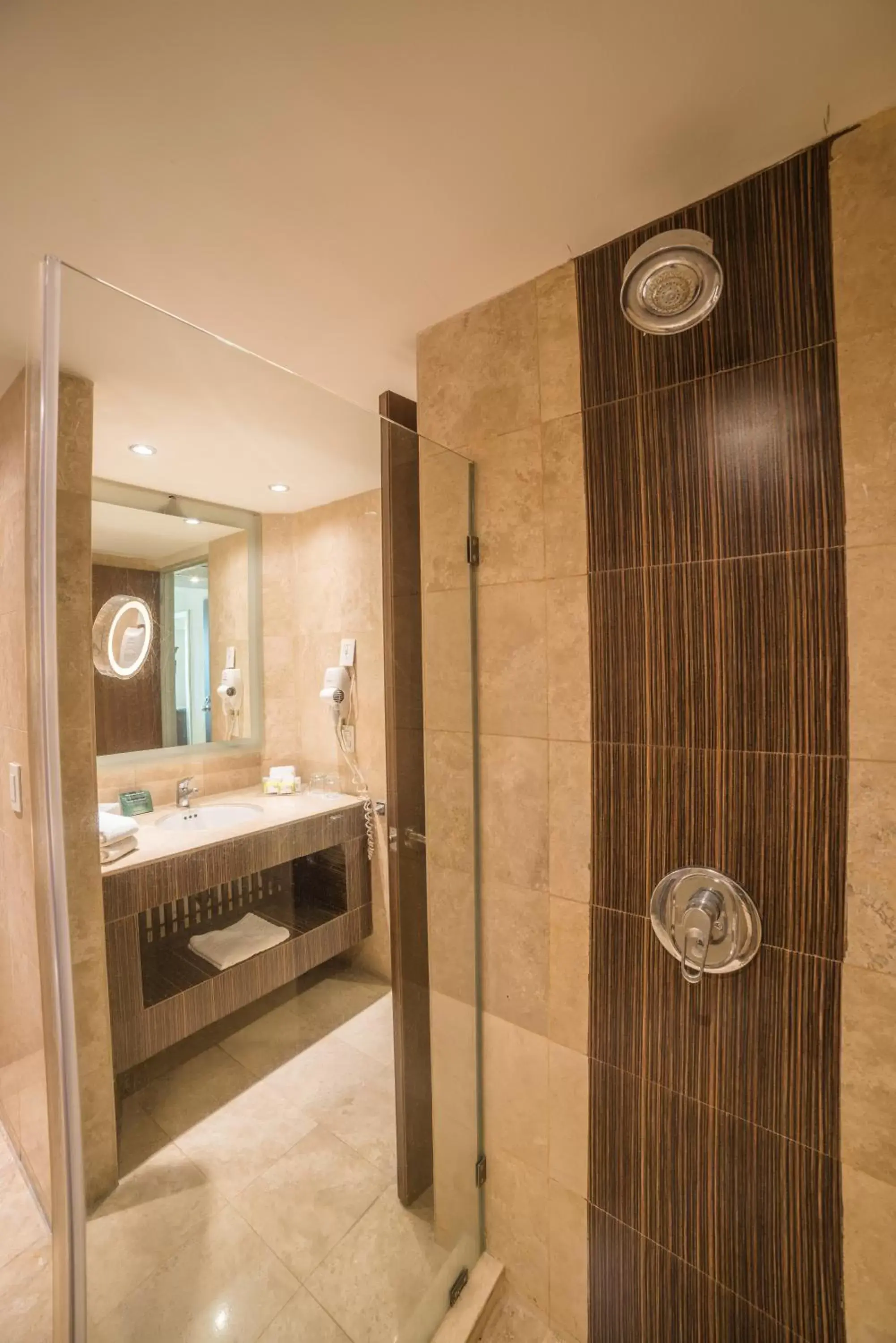 Bathroom in Holiday Inn Guadalajara Select, an IHG Hotel