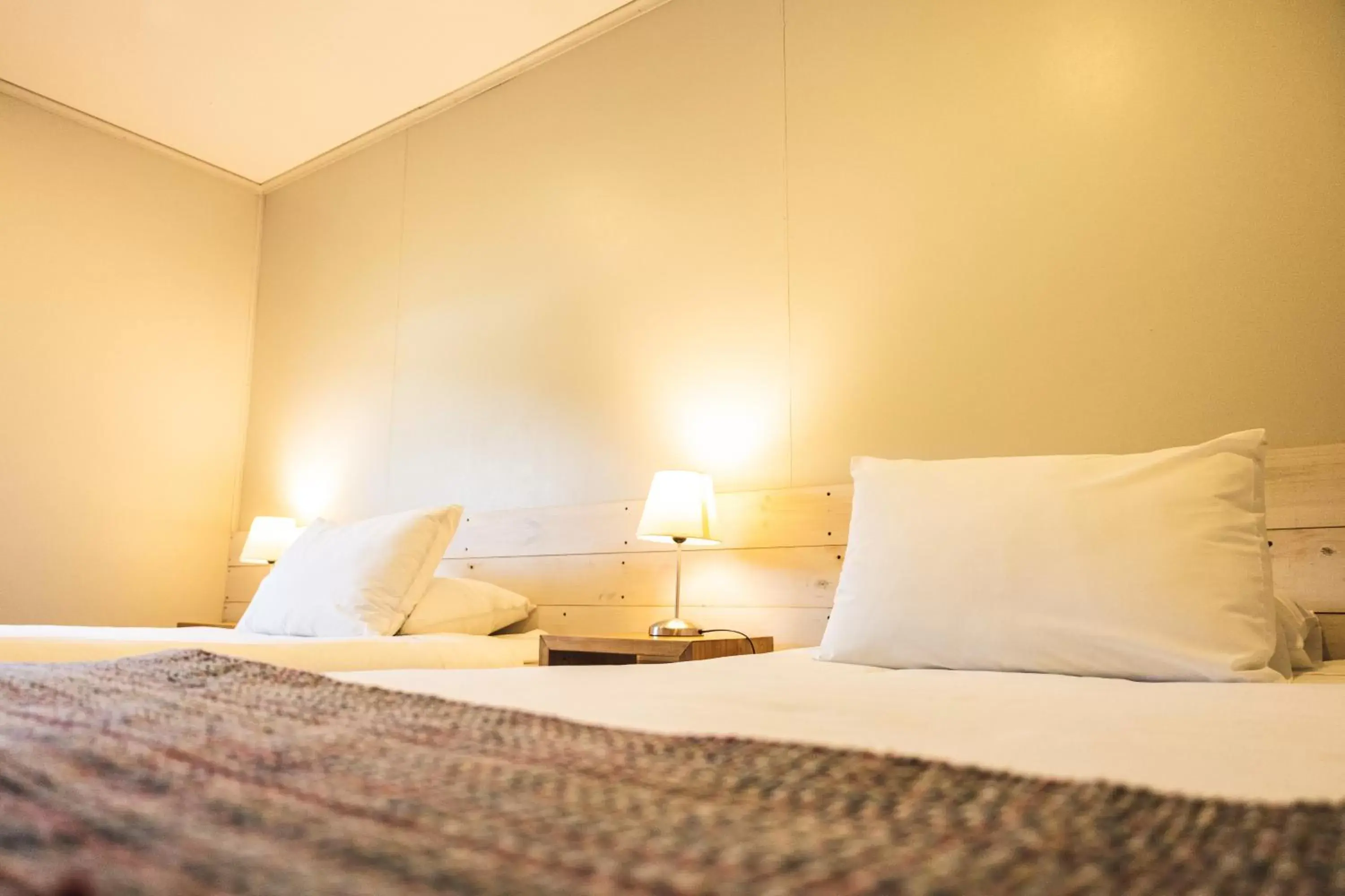 Single Room in Hotel Fio Fio Single Room in Hotel Fio Fio