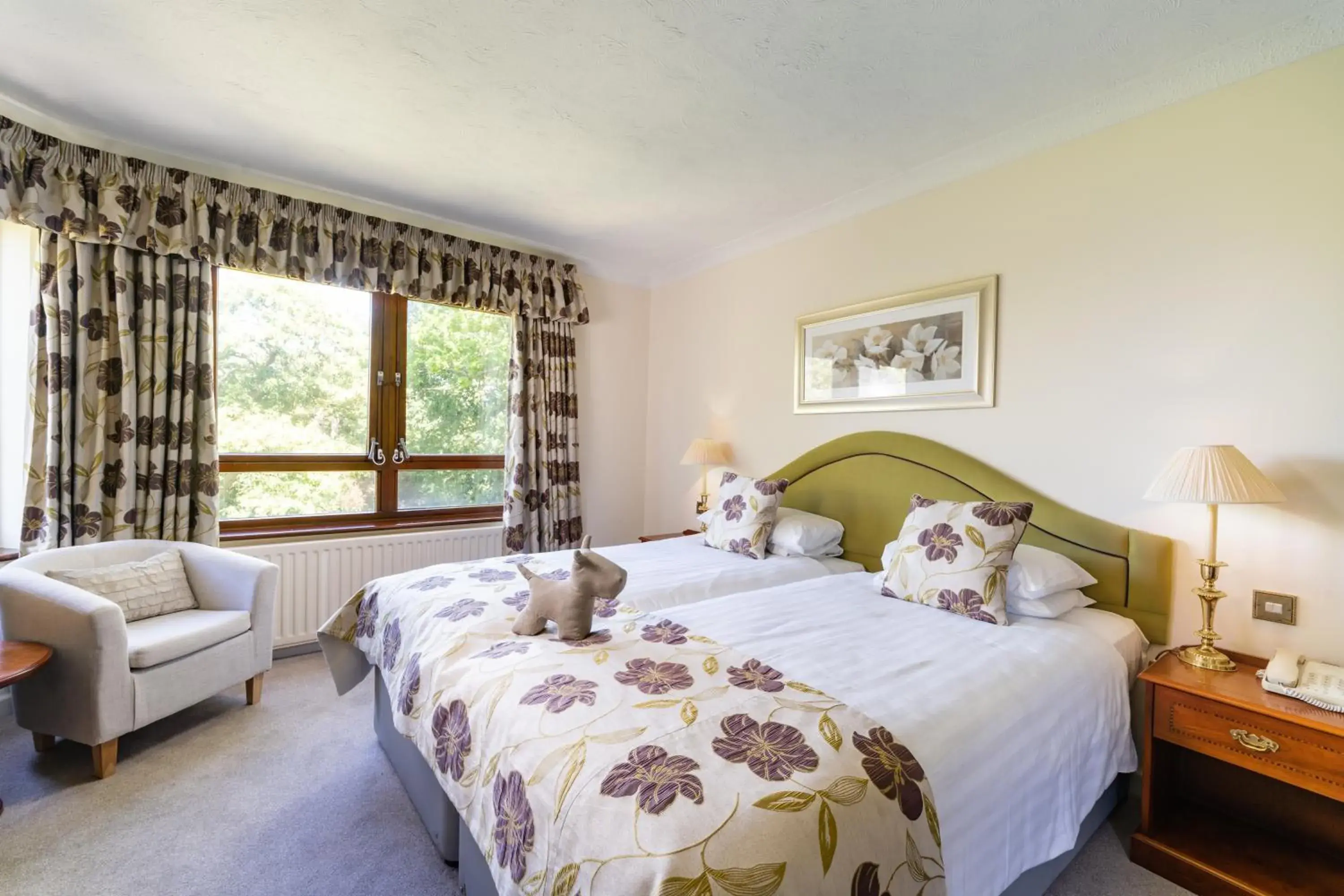 Superior Twin Room in Passford House Hotel