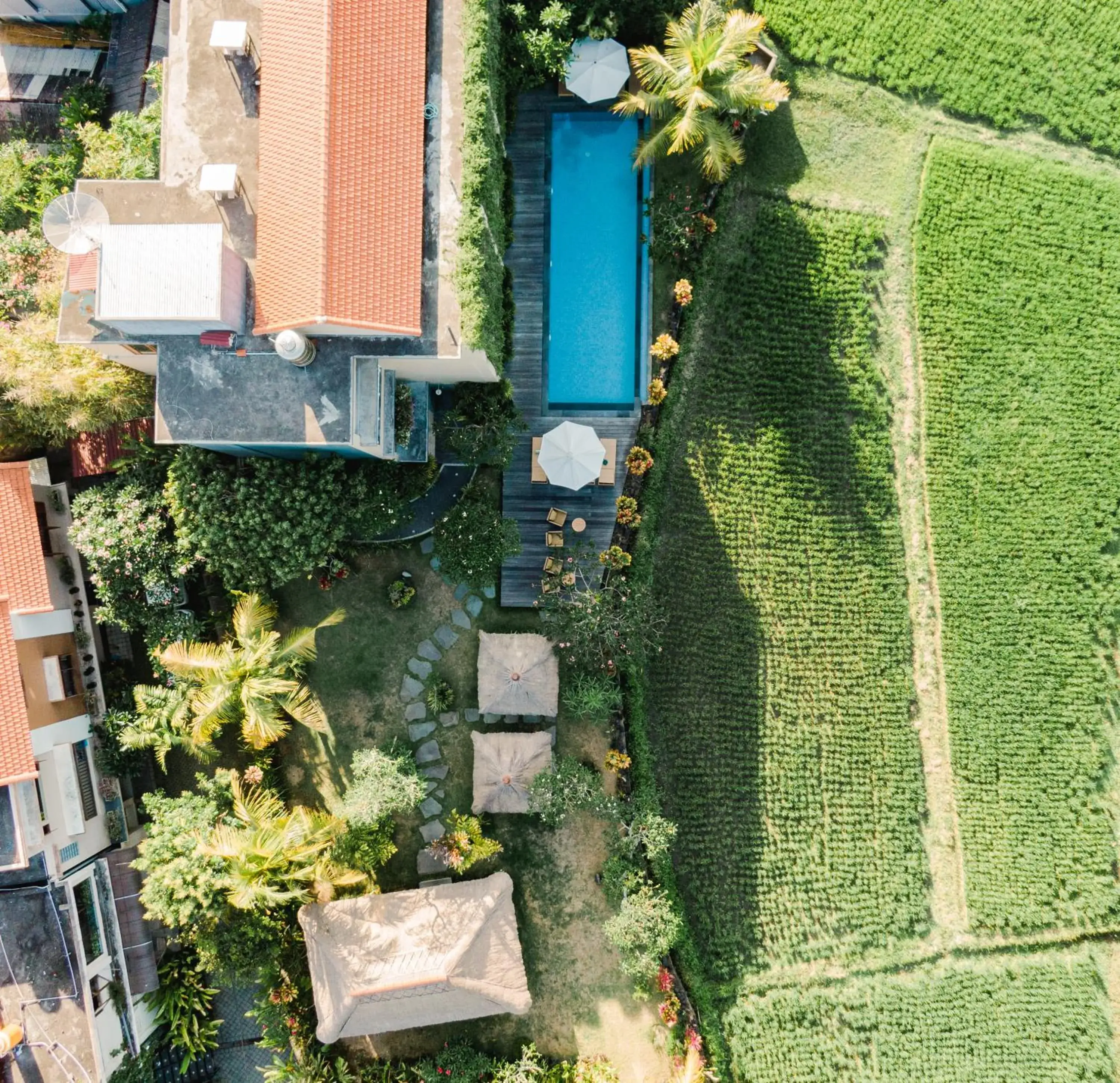 Natural landscape, Bird's-eye View in Byasa Ubud Hotel