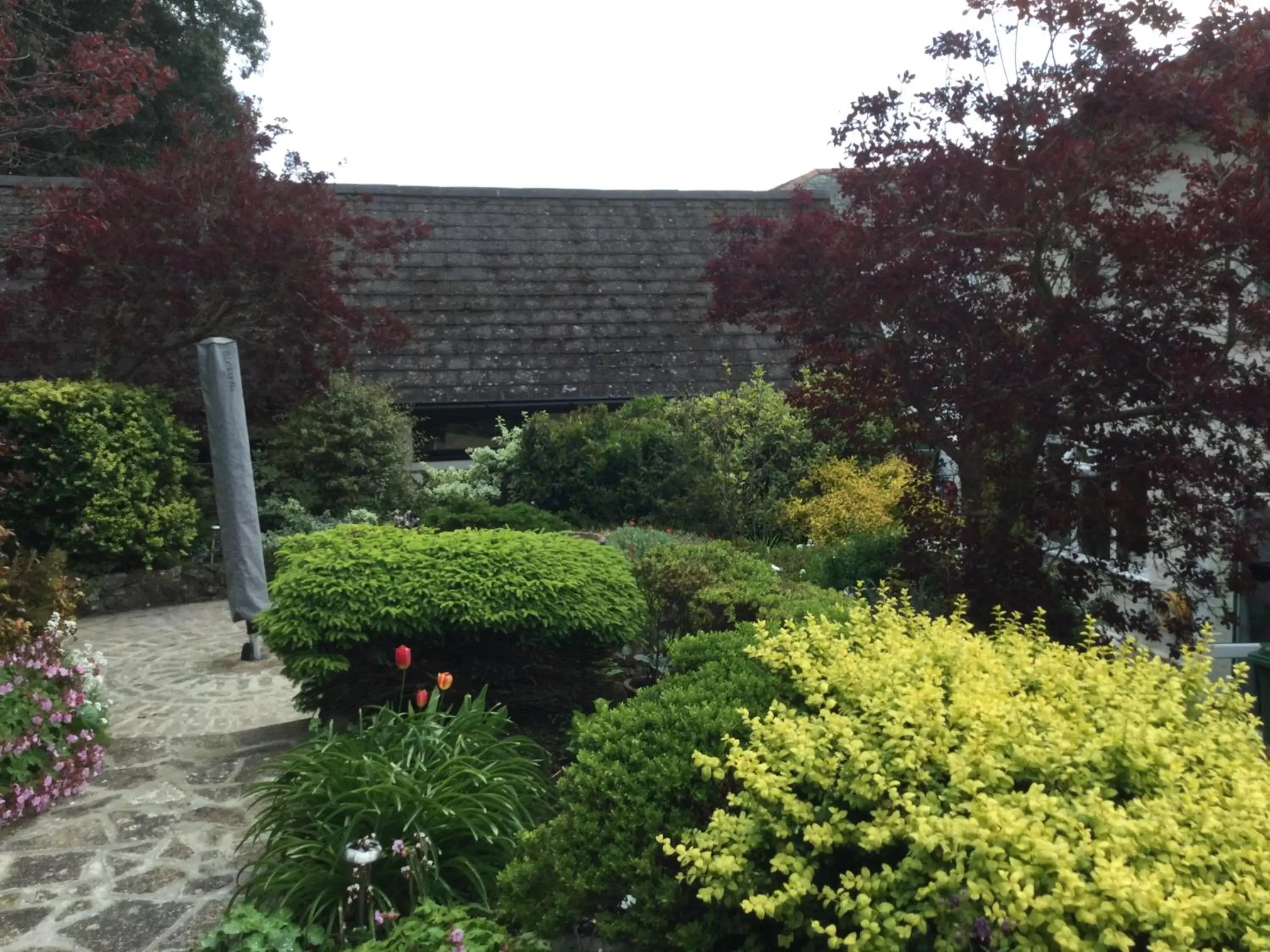 Garden in Grange Bank House
