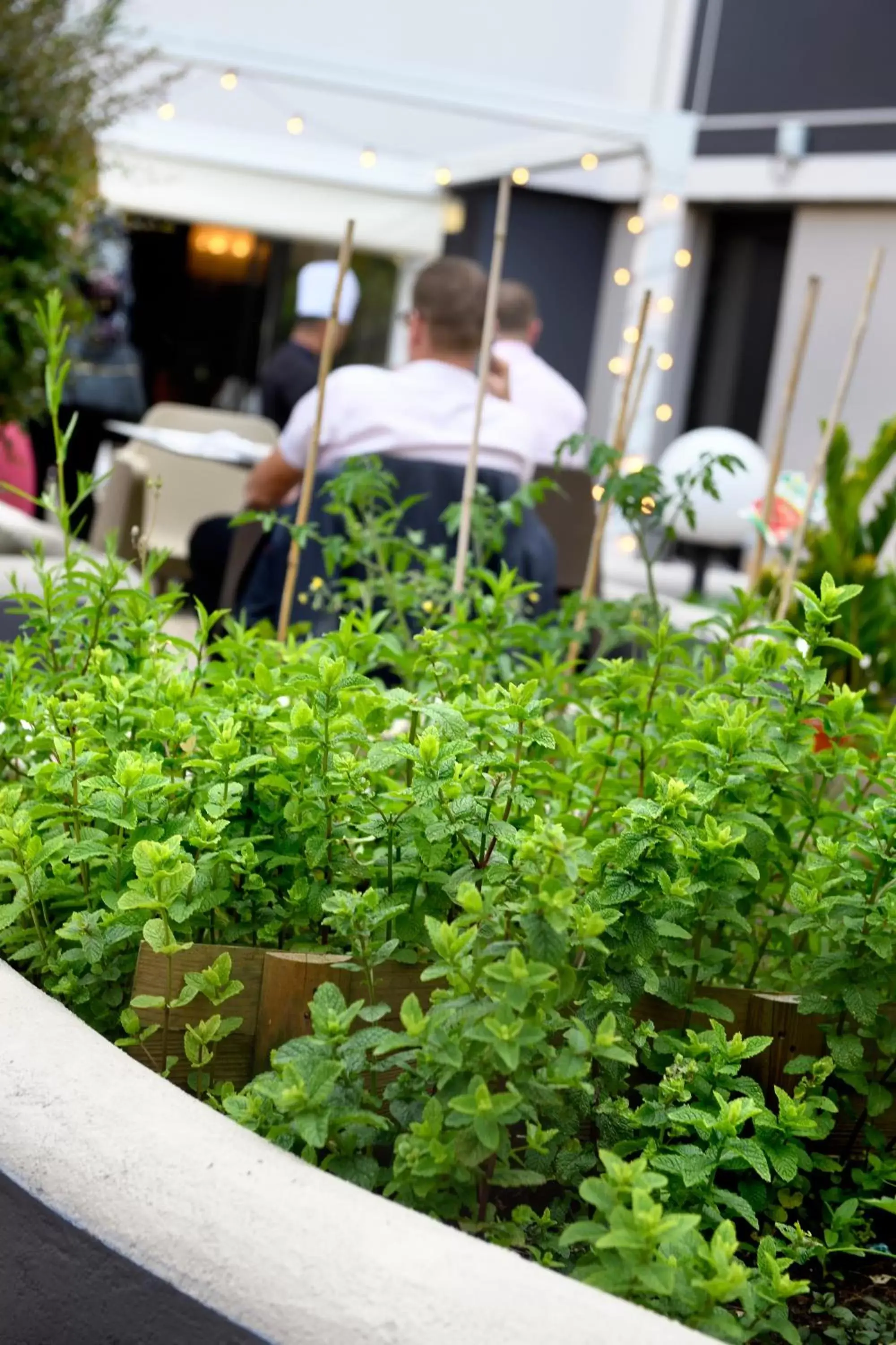 Patio in Mercure Bordeaux Centre Gare Saint Jean