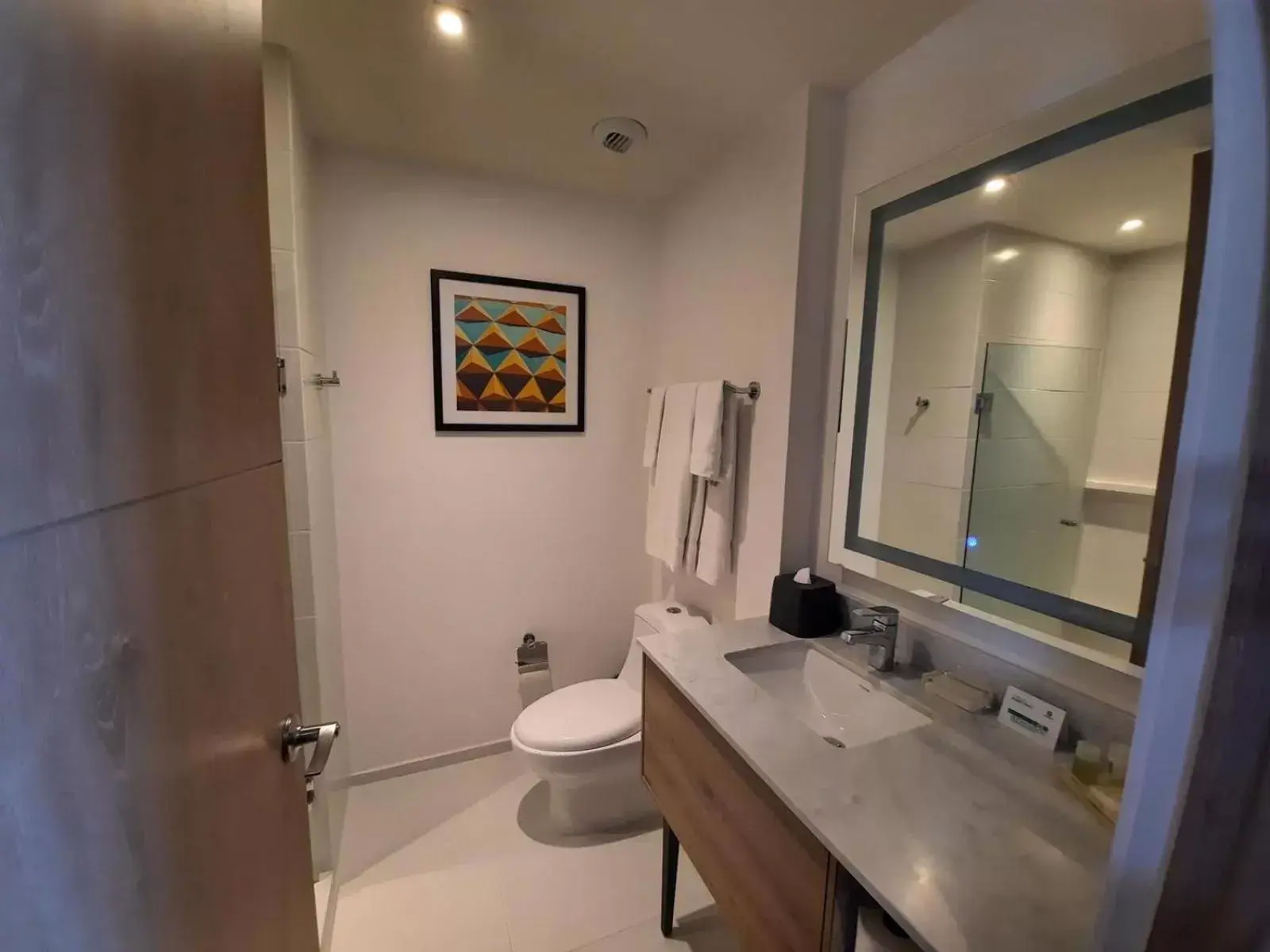 Toilet, Bathroom in Holiday Inn & Suites - Merida La Isla, an IHG Hotel