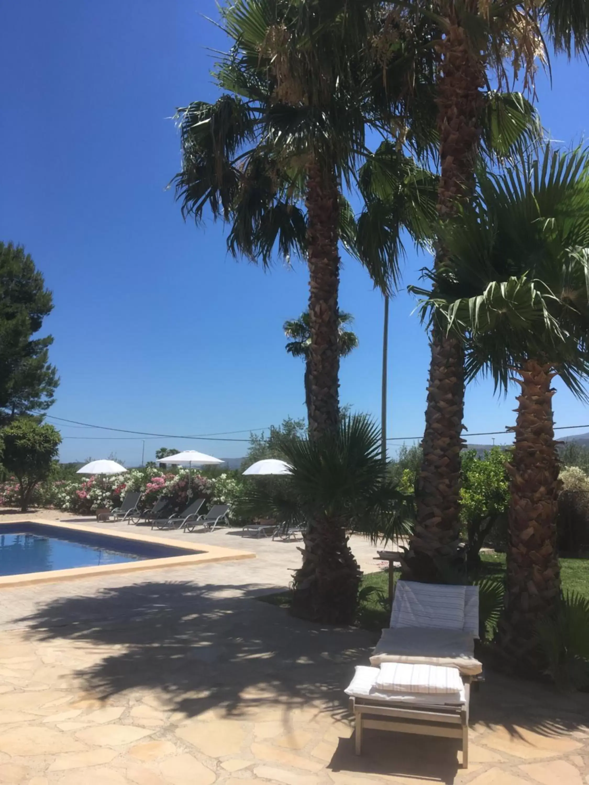 Swimming Pool in Casa Alestelou