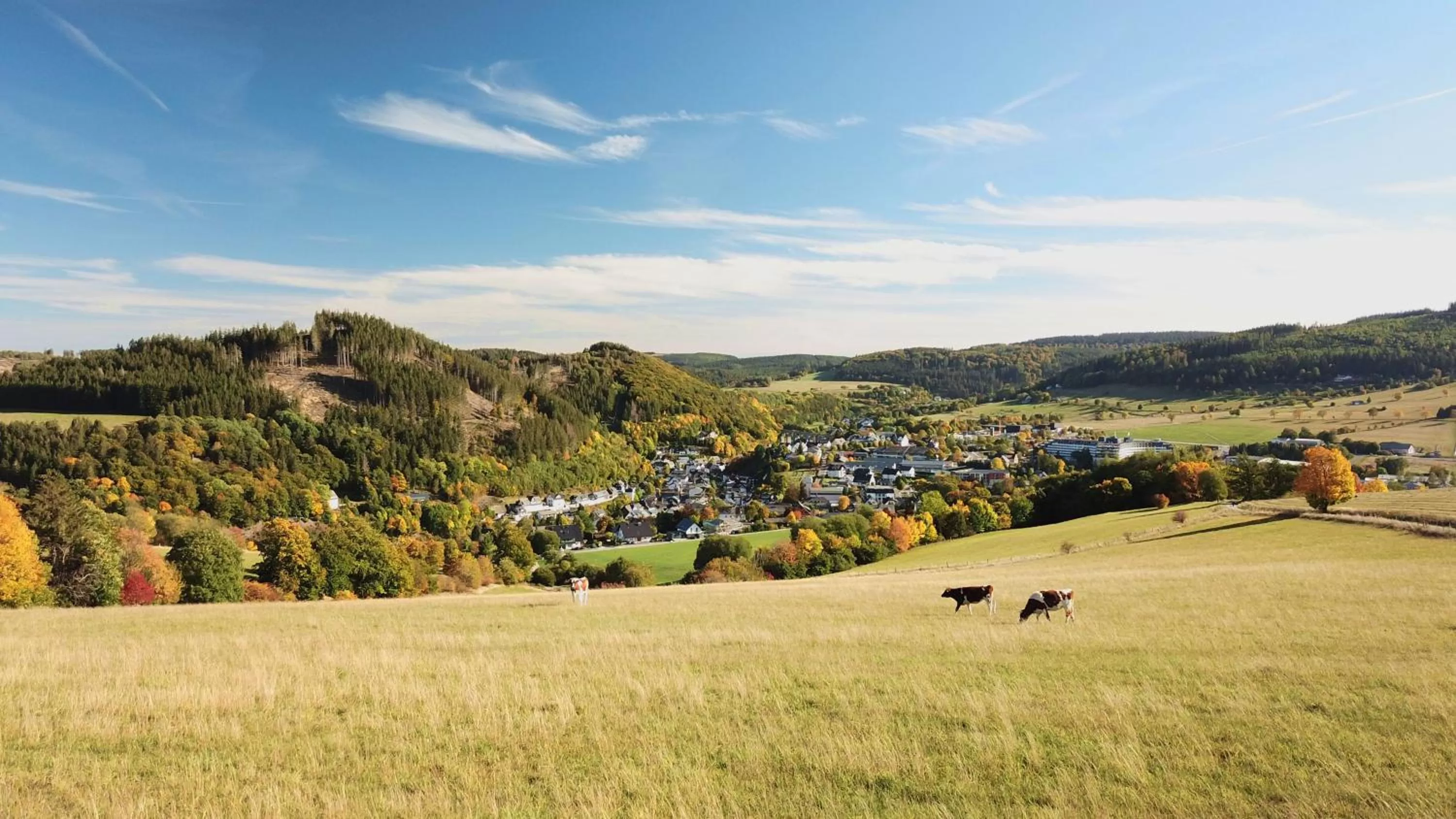 Hiking in Sauerland Stern Hotel