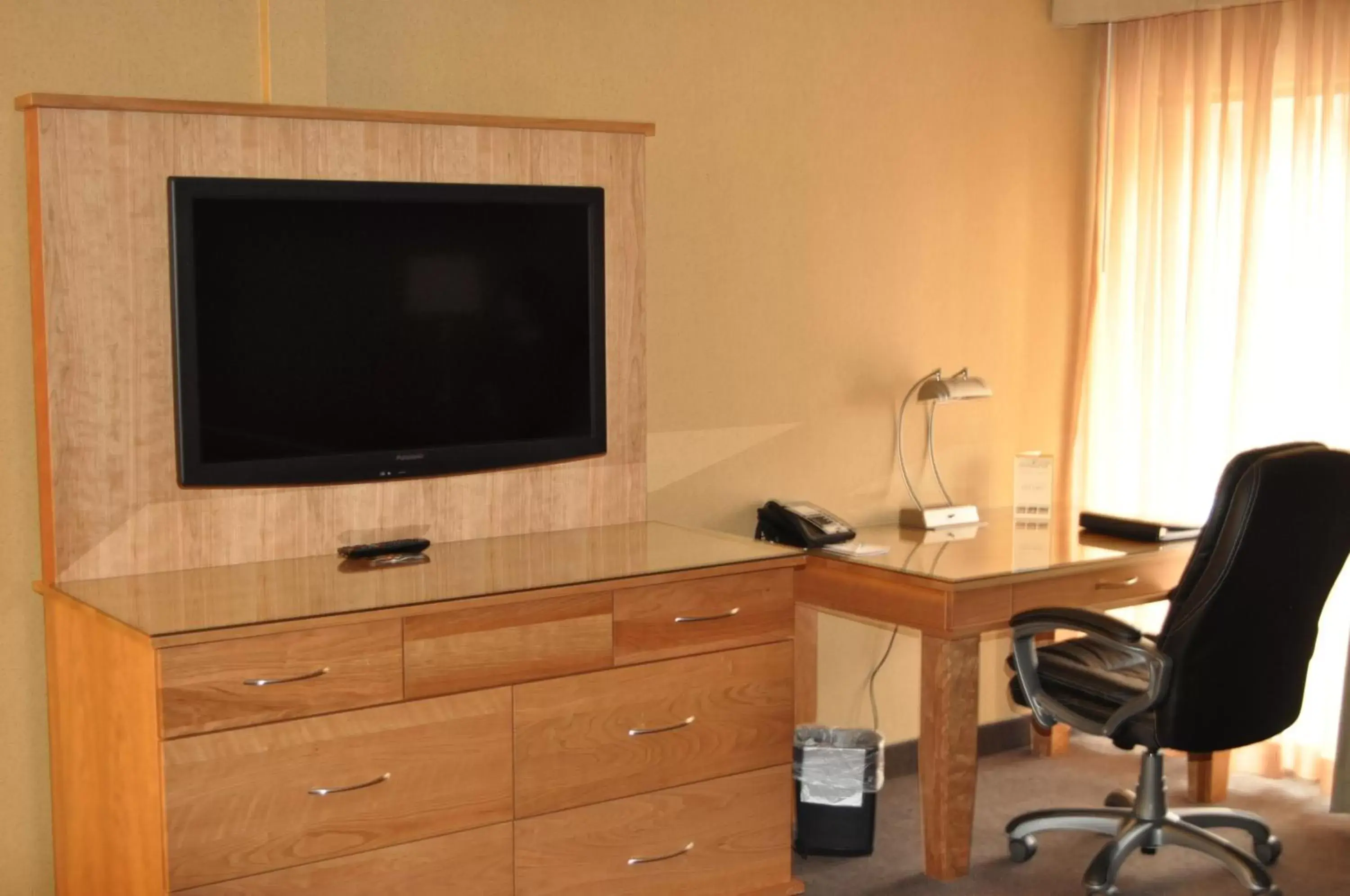 TV and multimedia, TV/Entertainment Center in Mirabeau Park Hotel