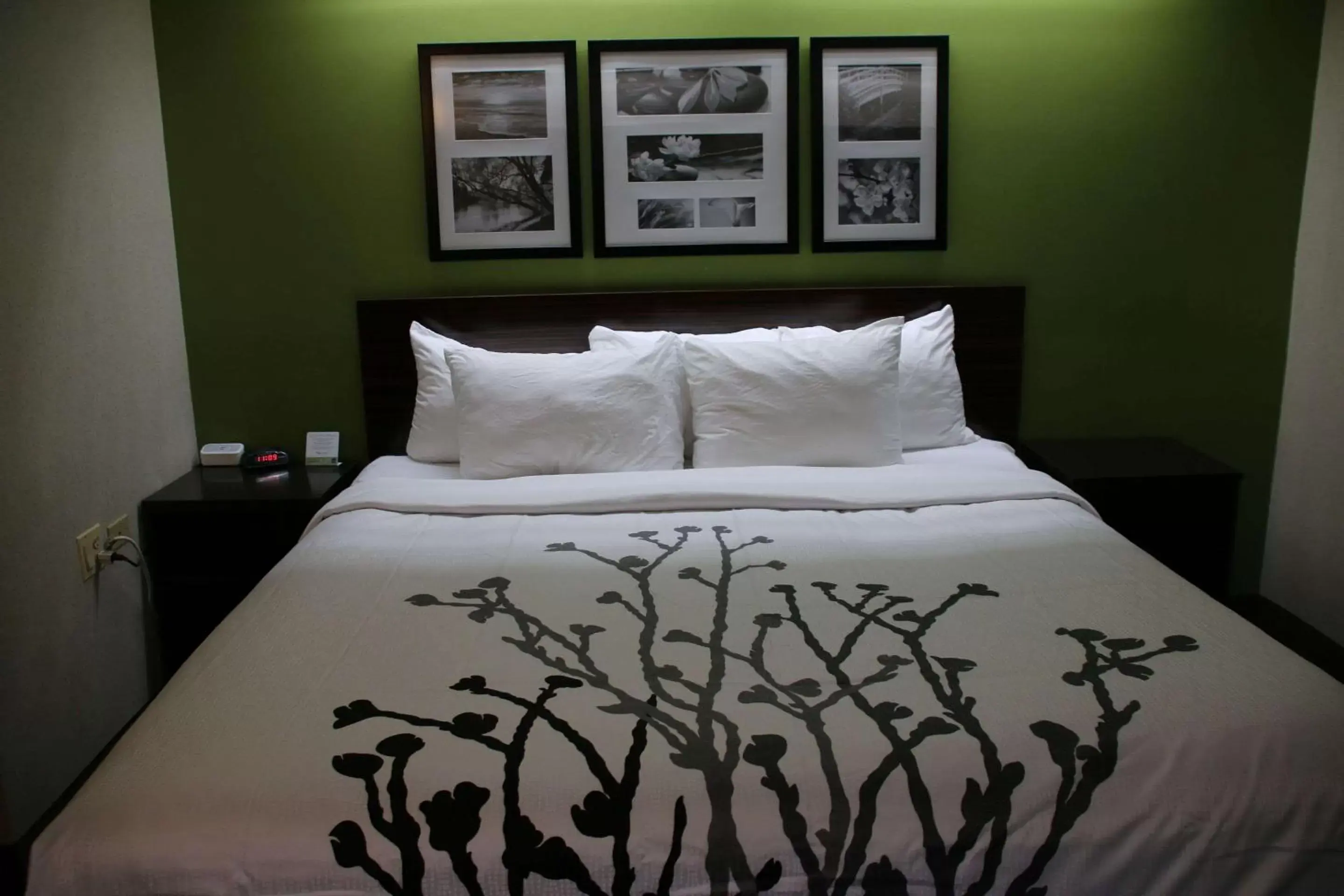 Photo of the whole room, Bed in Sleep Inn near Great Lakes Naval Base Photo of the whole room, Bed in Sleep Inn near Great Lakes Naval Base