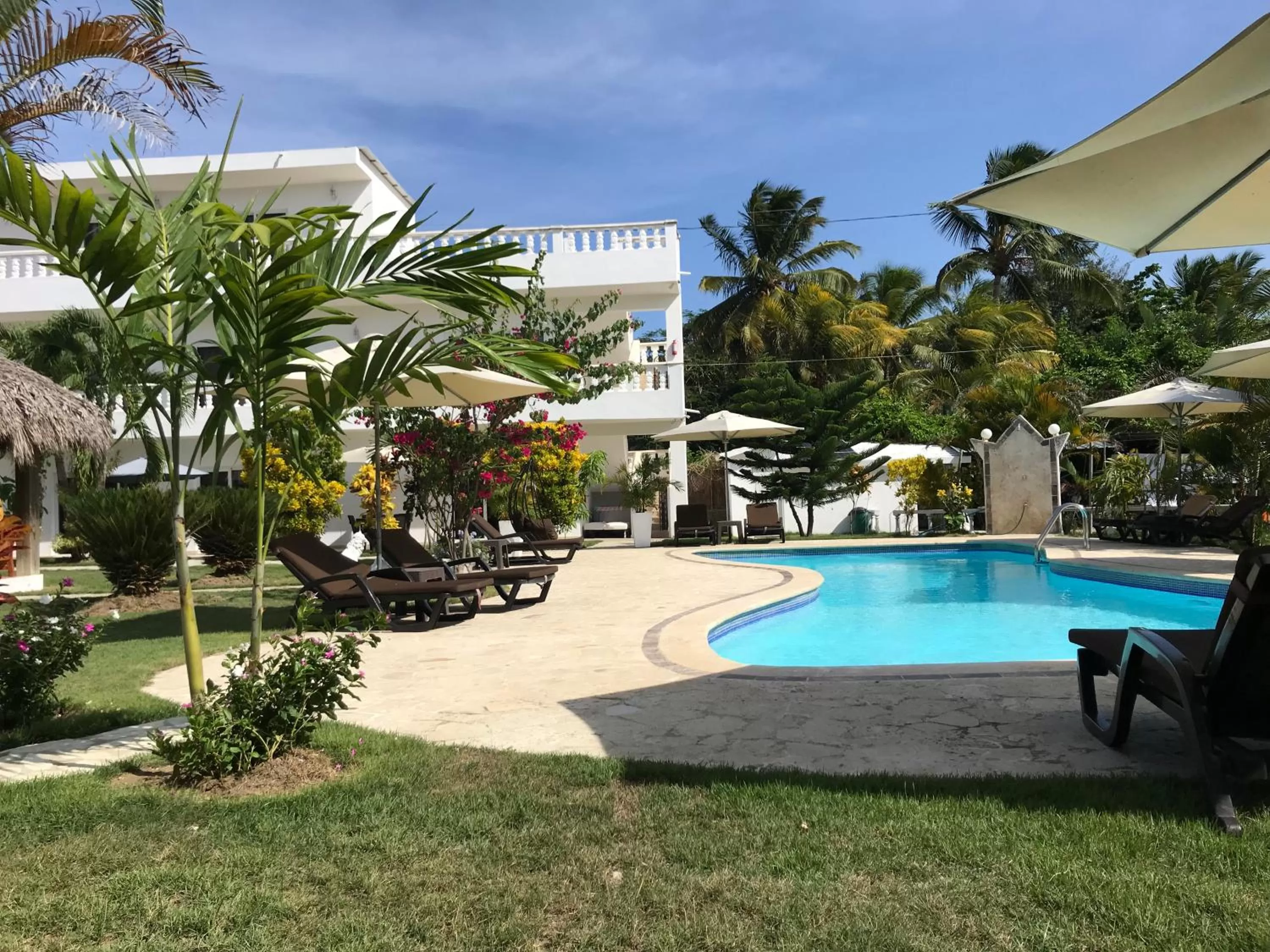 Garden, Swimming Pool in Diamond Hotel Cabarete