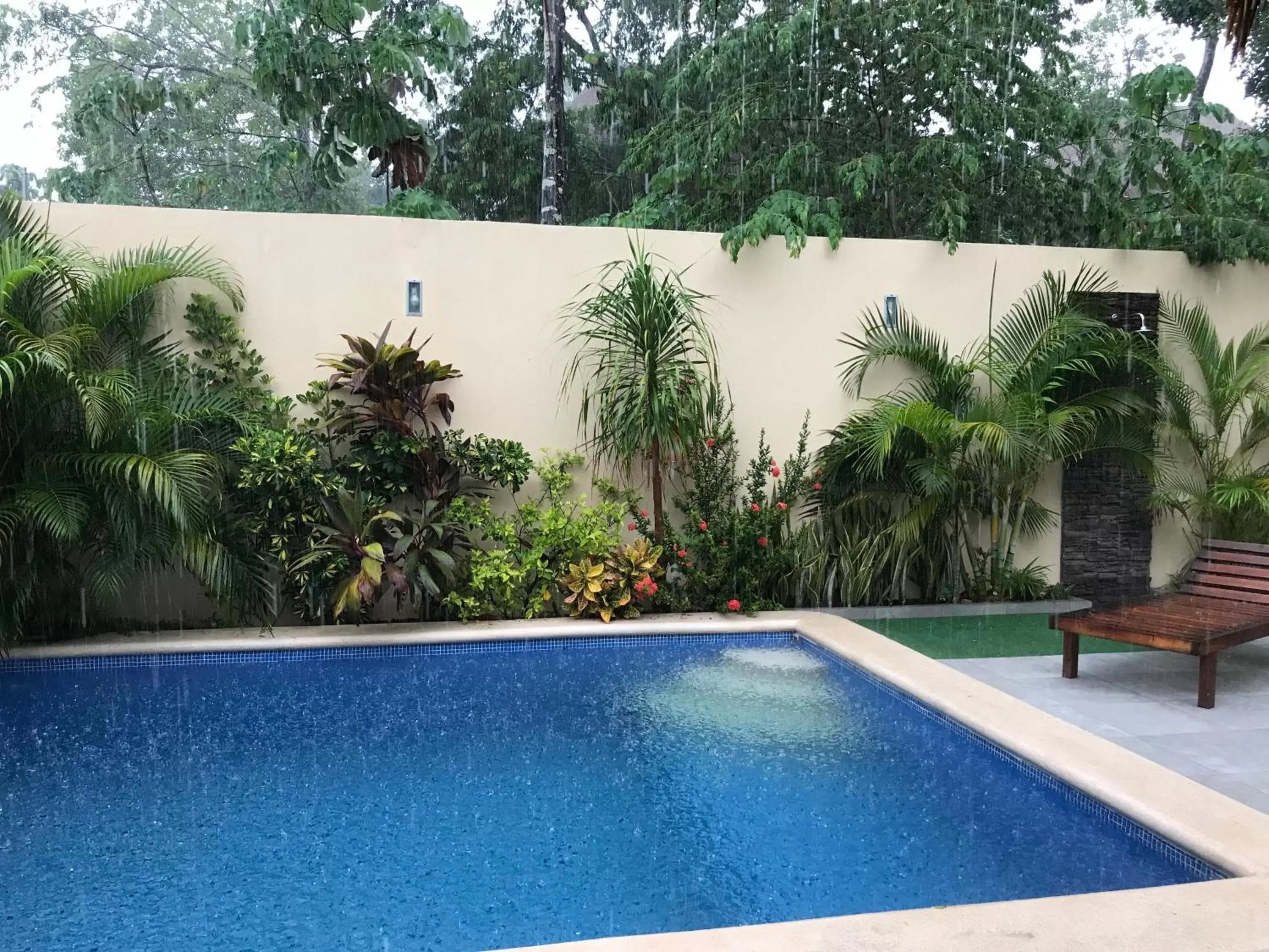 Garden, Swimming Pool in Basic Tulum