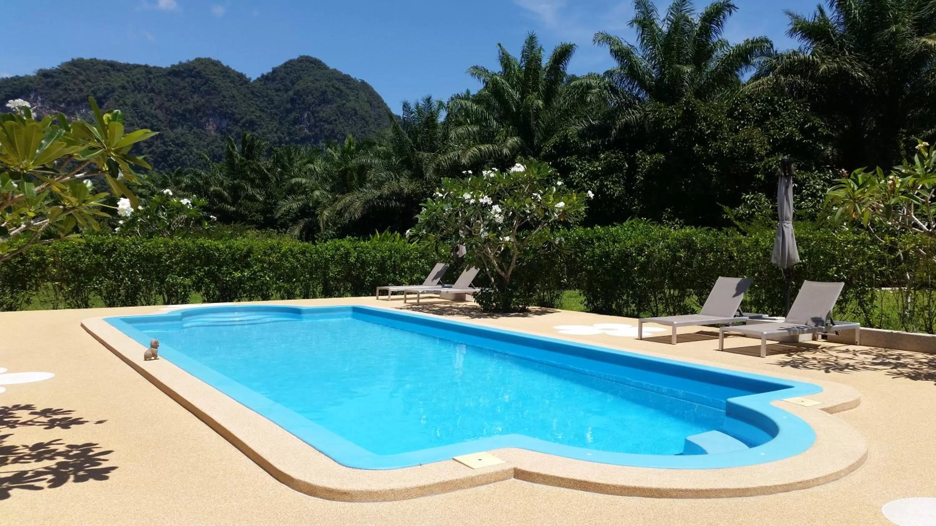 Swimming pool in Khao Sok Jasmine Garden Resort - SHA Certified