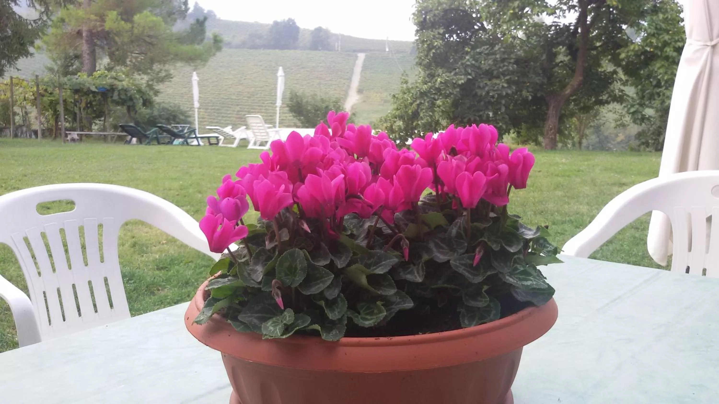 Area and facilities, Garden in Cascina Torello