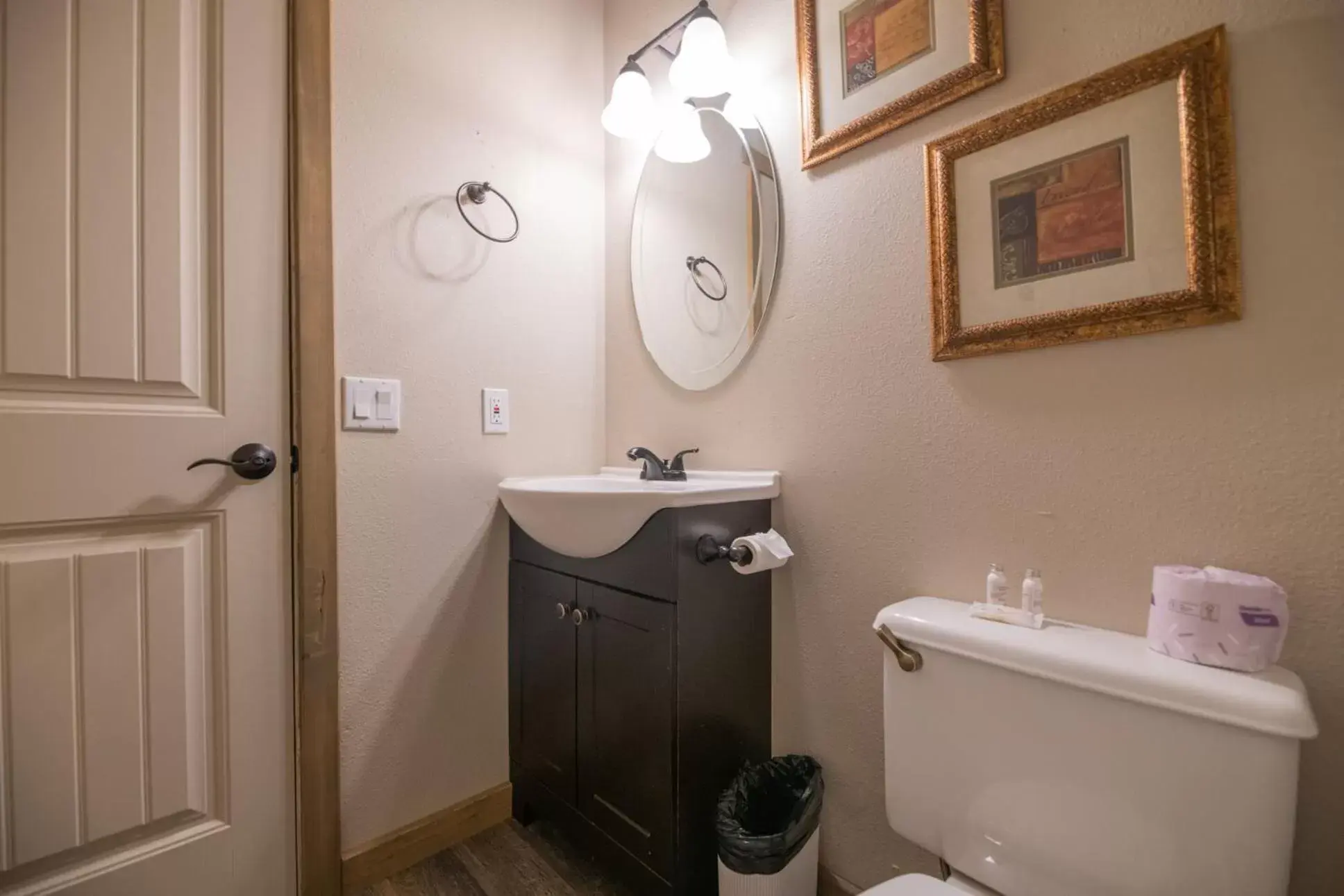 Bathroom in Black Forest Lodge