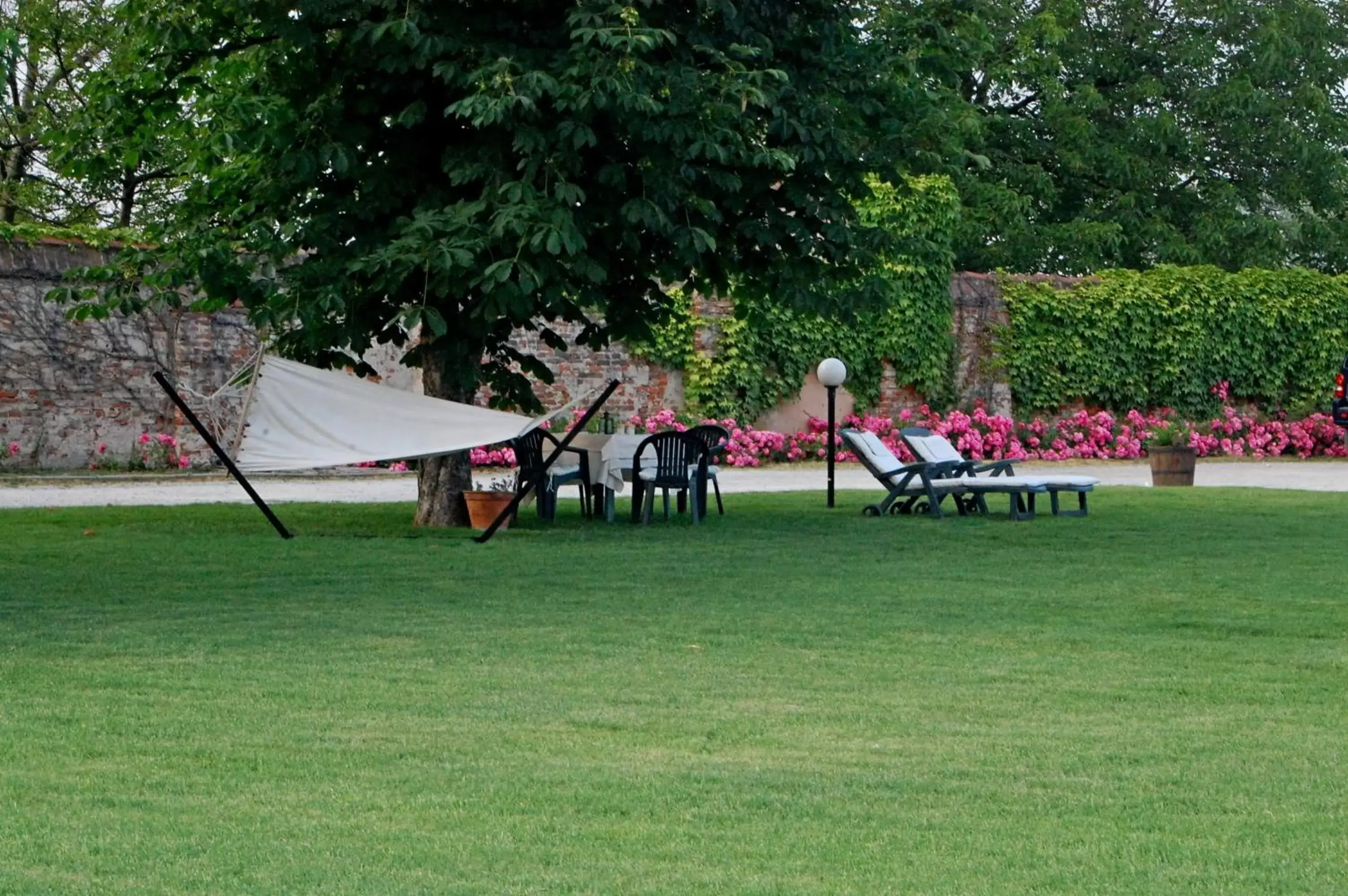 Garden in Motel Cosmera