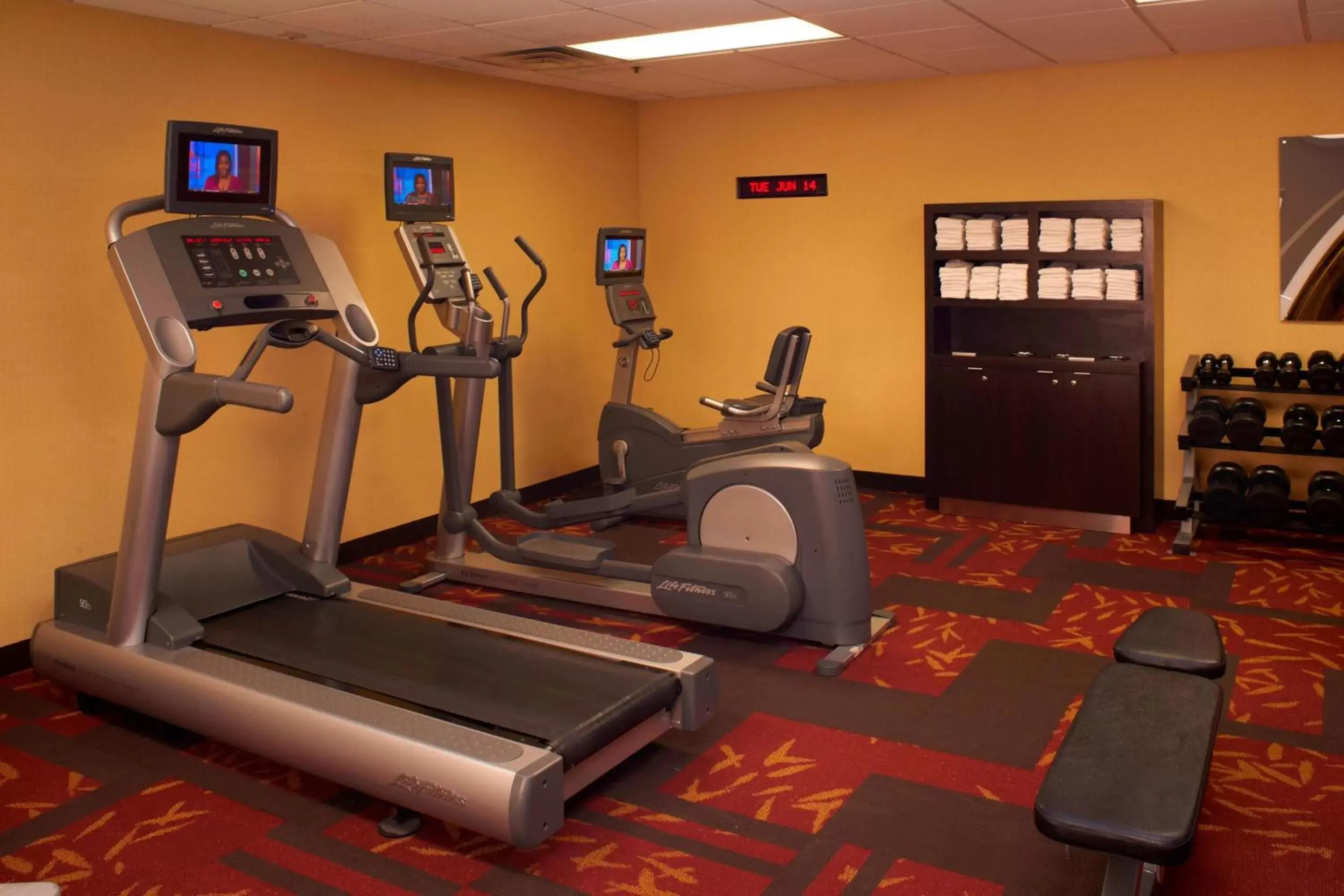 Fitness centre/facilities, Fitness Center/Facilities in Courtyard Detroit Metro Airport Romulus