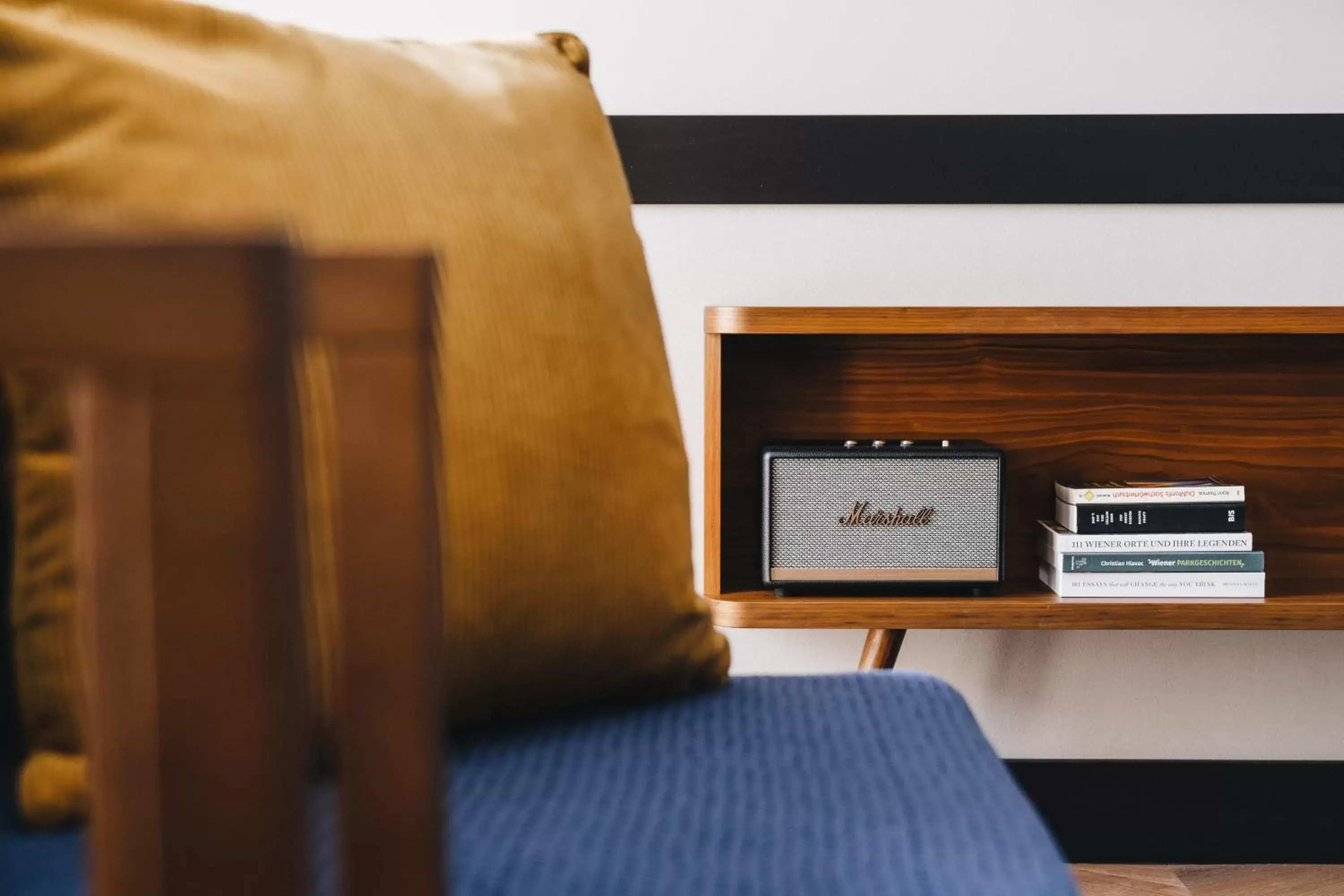 Decorative detail, TV/Entertainment Center in Hotel Gilbert