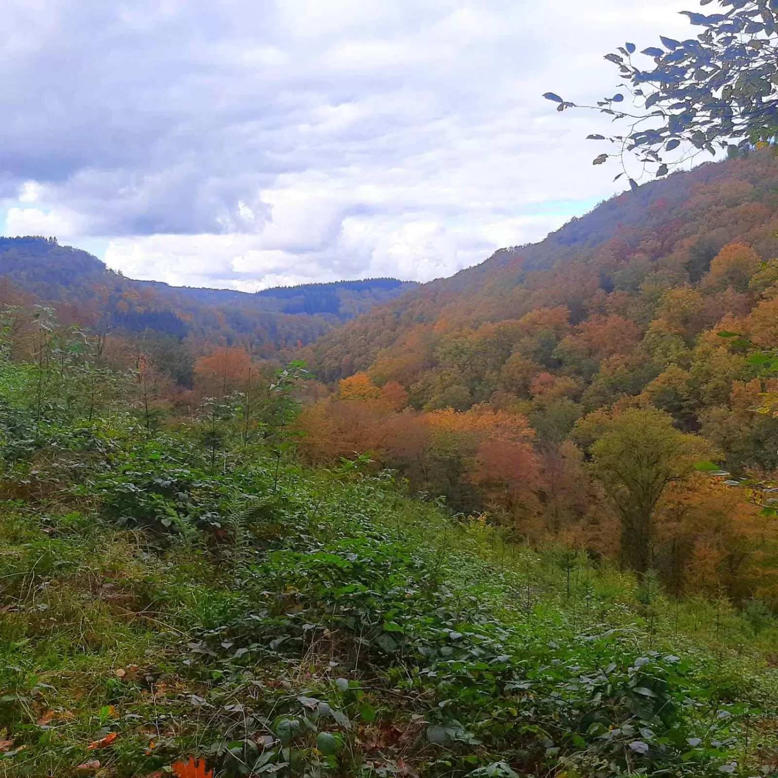 Off site in Golden Lion