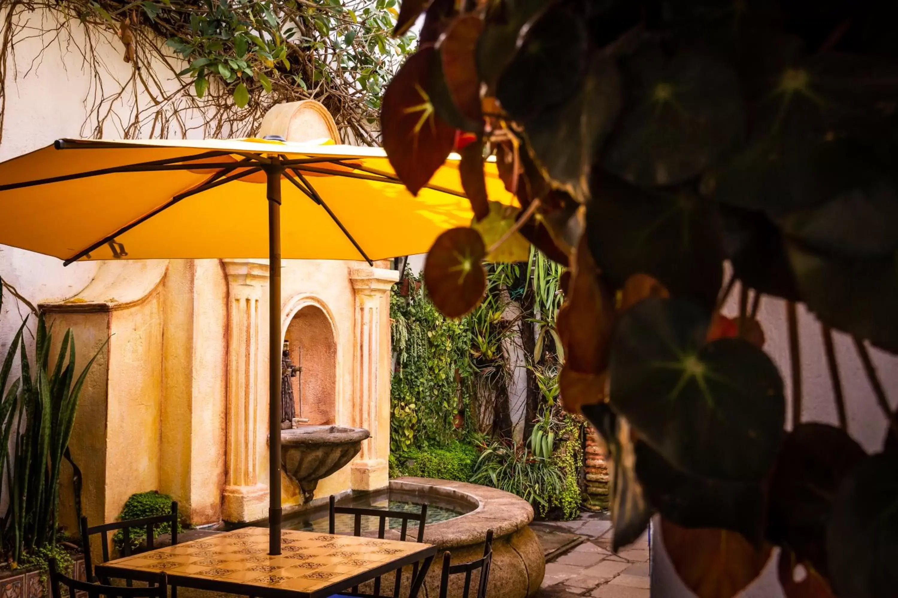 Patio in Hotel La Villa Serena