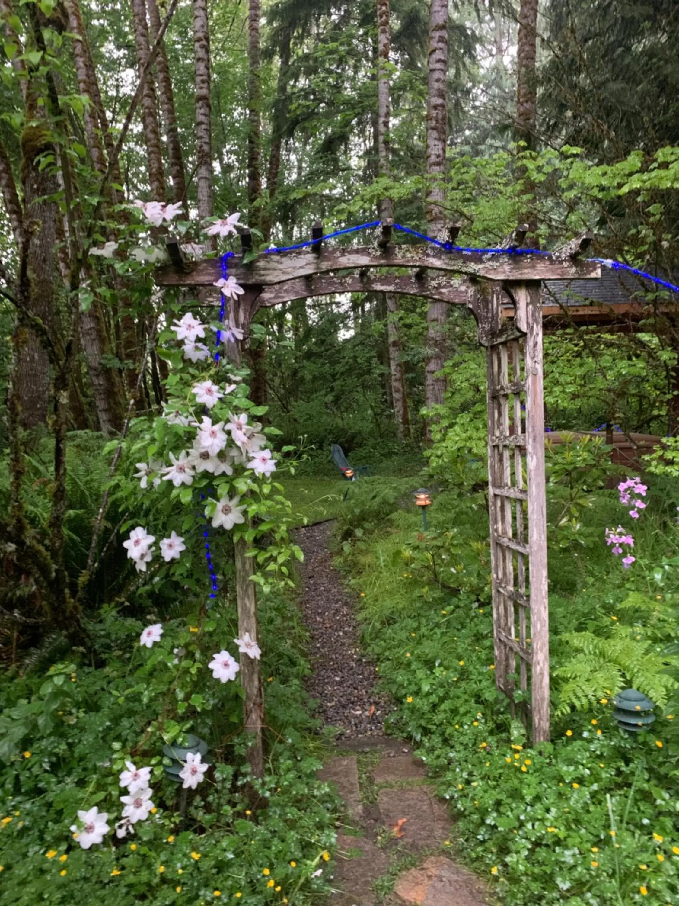 Hot Tub, Garden in Mountain Meadows Inn