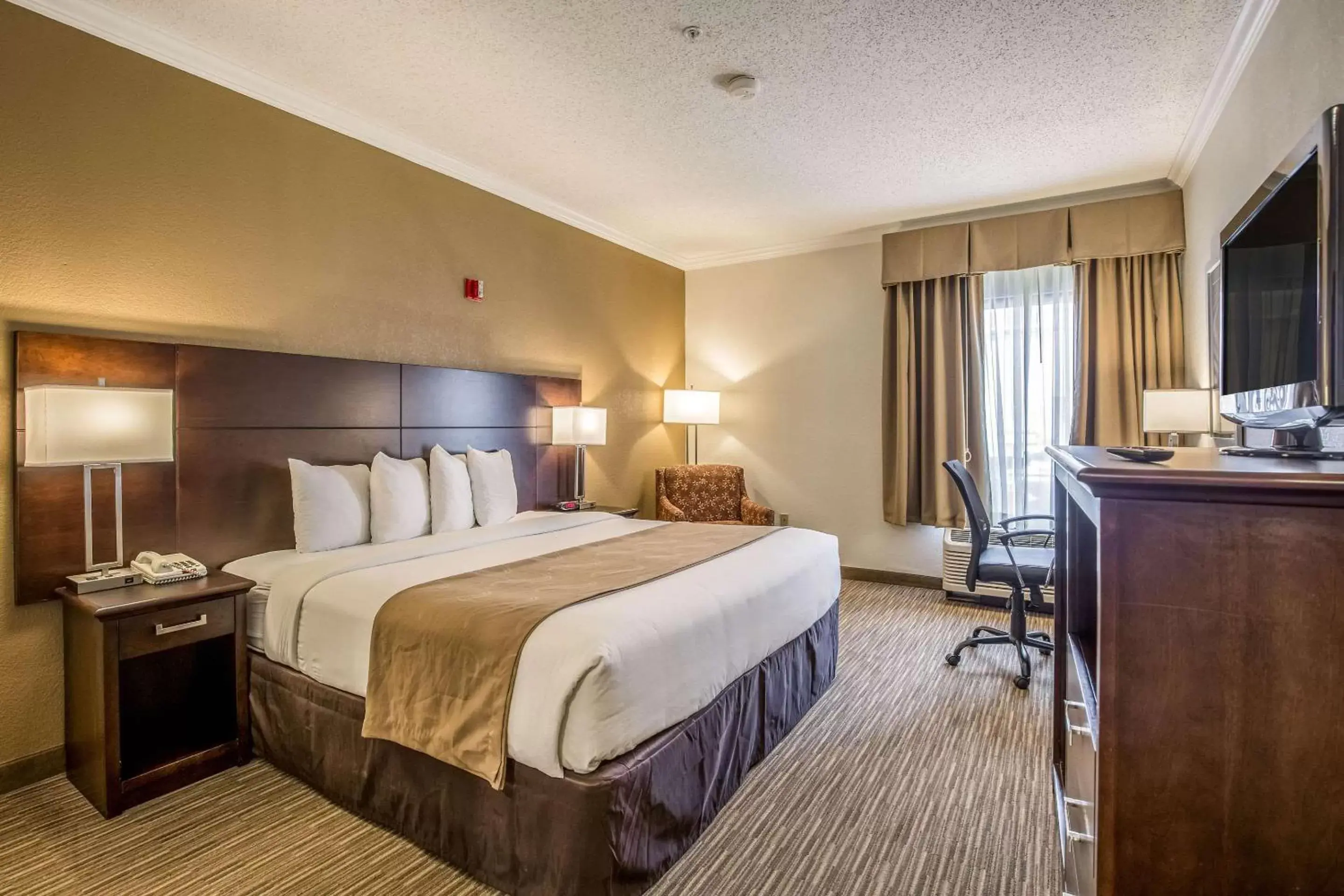 Bed in Quality Inn and Suites Seabrook - NASA - Kemah