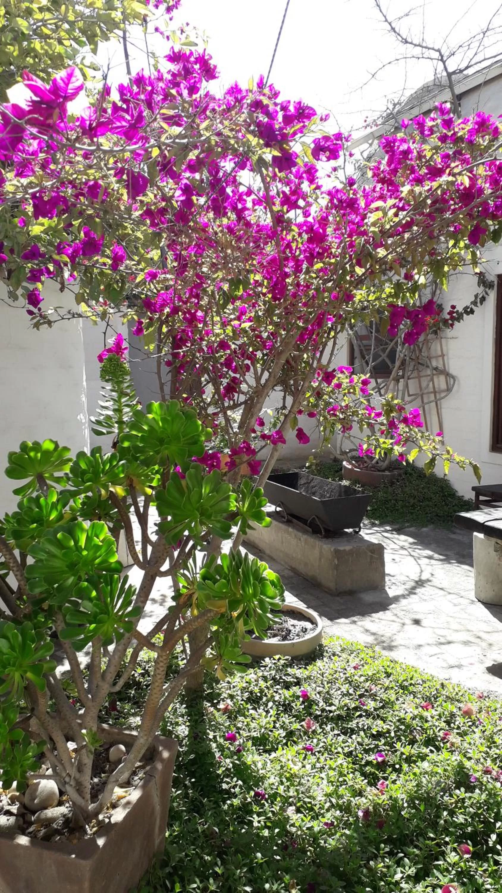 Alternative Space B & B