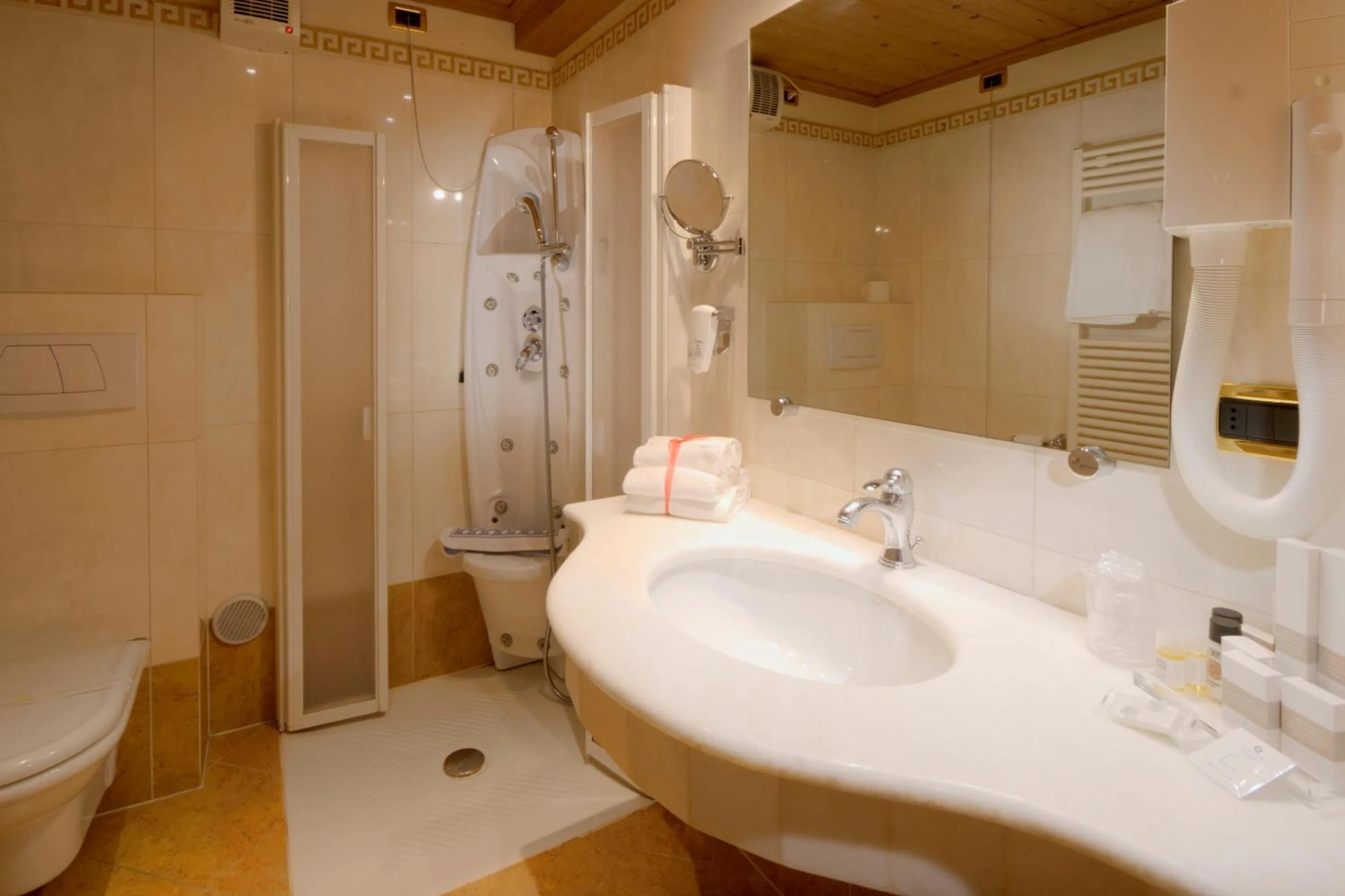 Toilet in Hotel Rosengarten