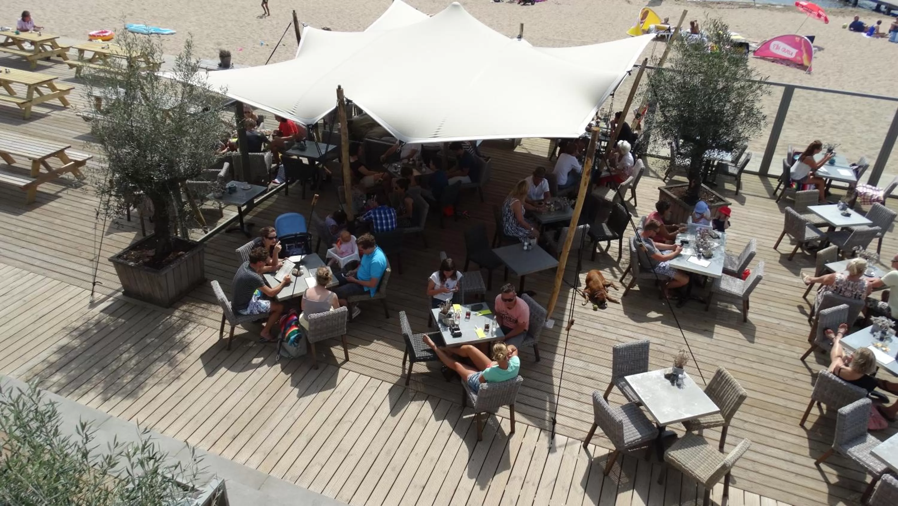 Balcony/Terrace in Beach Hotel Oostvoorne