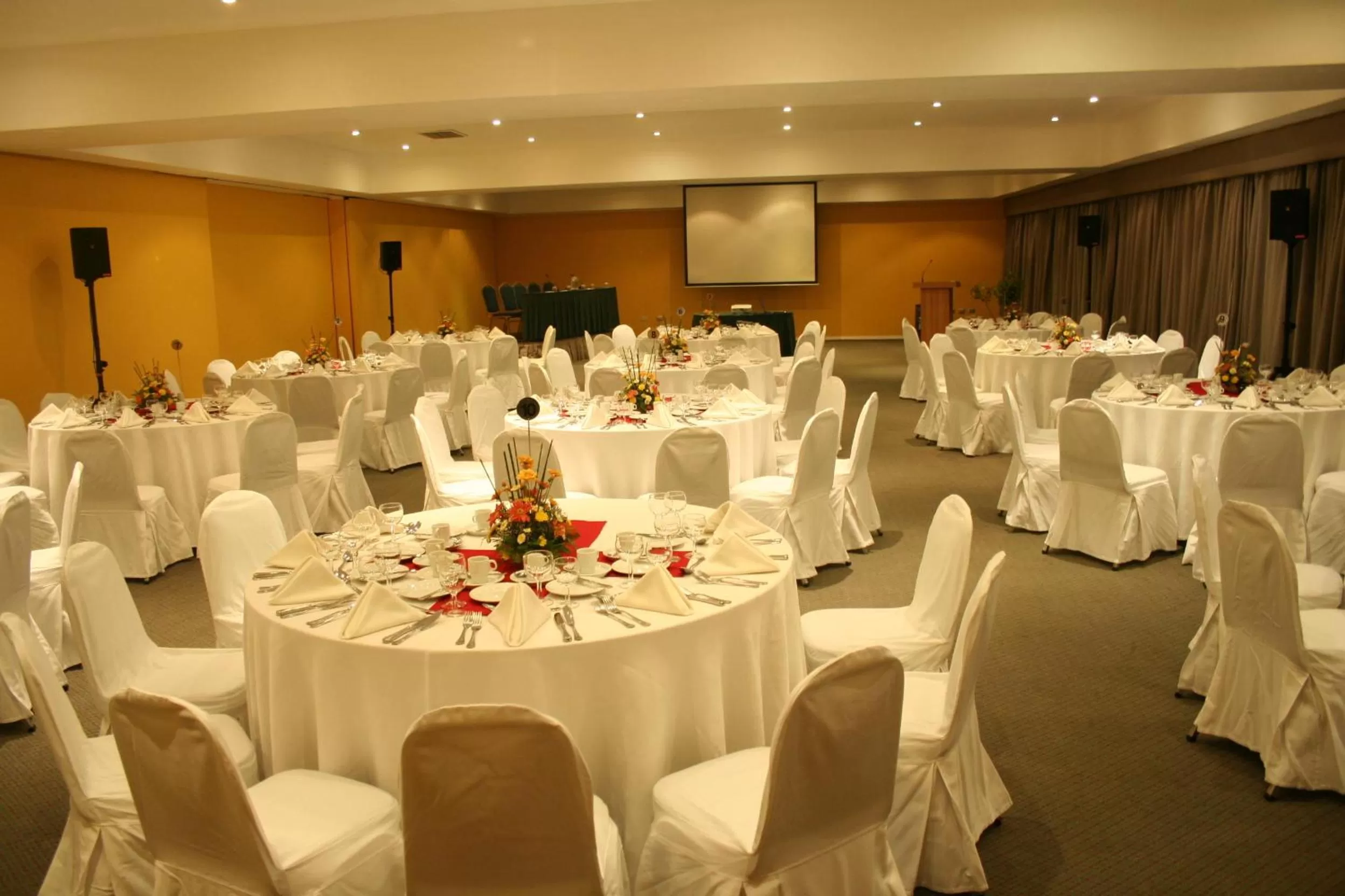 Banquet/Function facilities in Hotel El Araucano