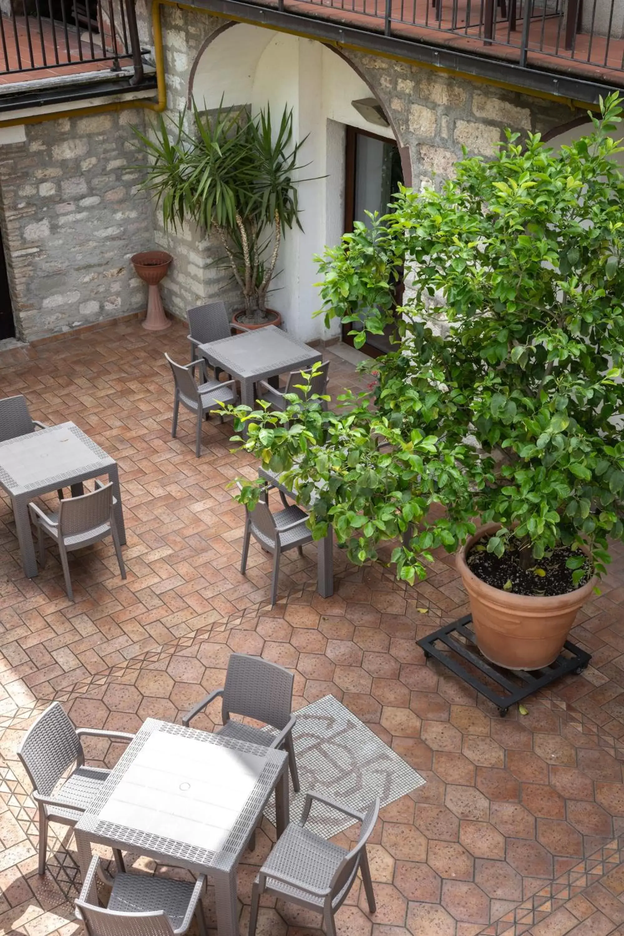 Garden, Patio/Outdoor Area in Hotel San Marco