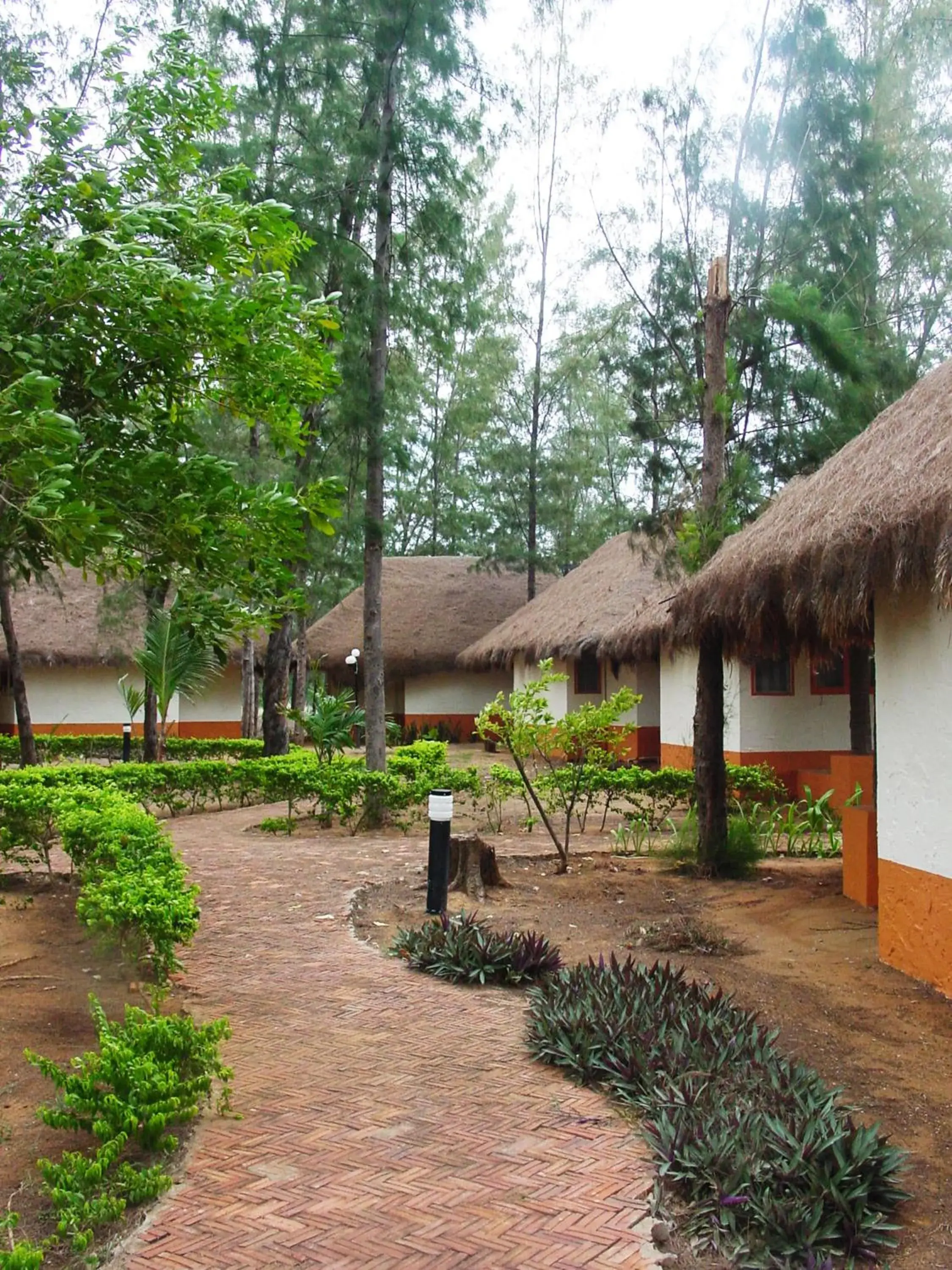 Garden in Lawana Escape Beach Resort