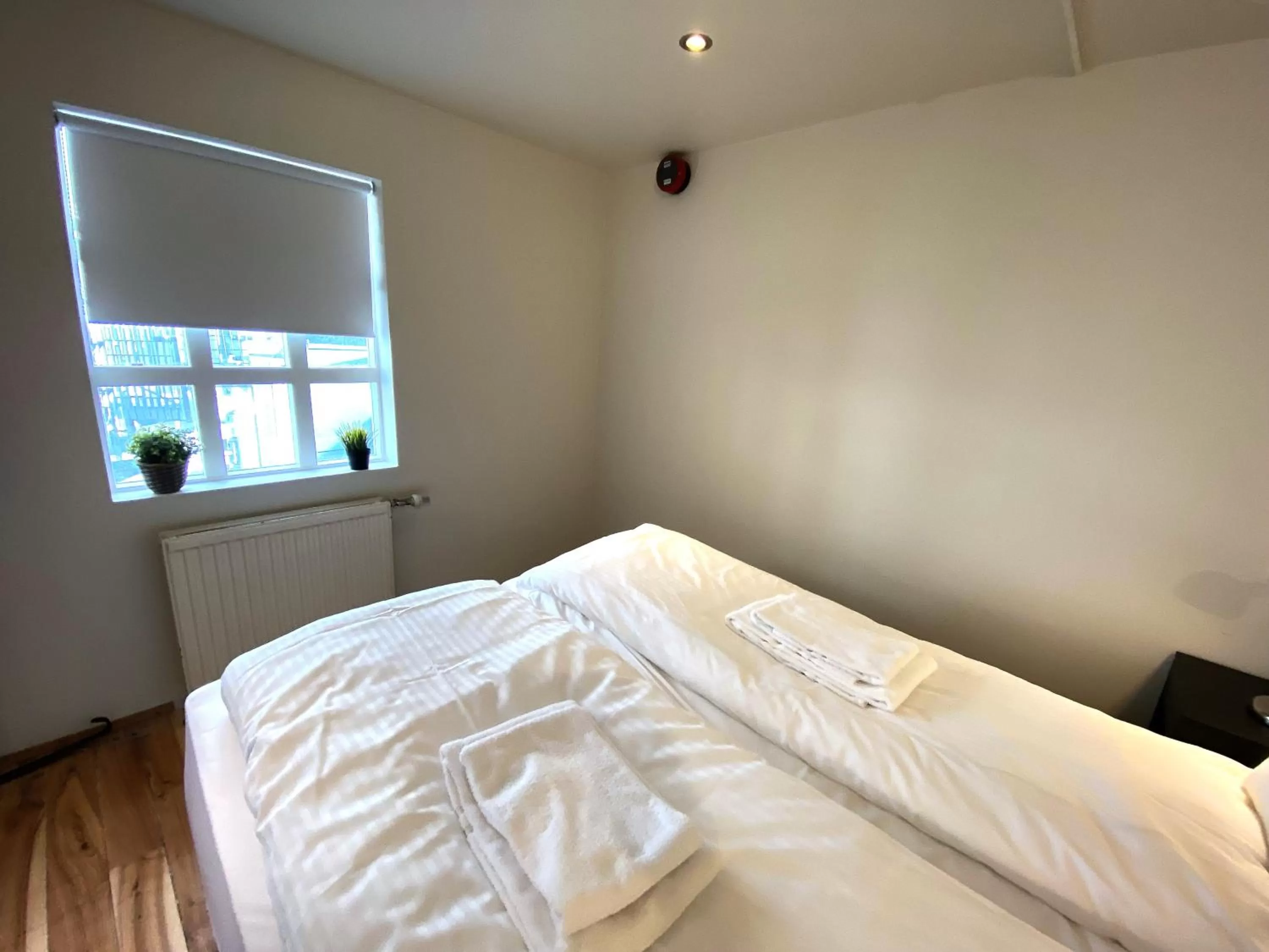 Bed in Day Dream Vesturgata 17 Reykjavik