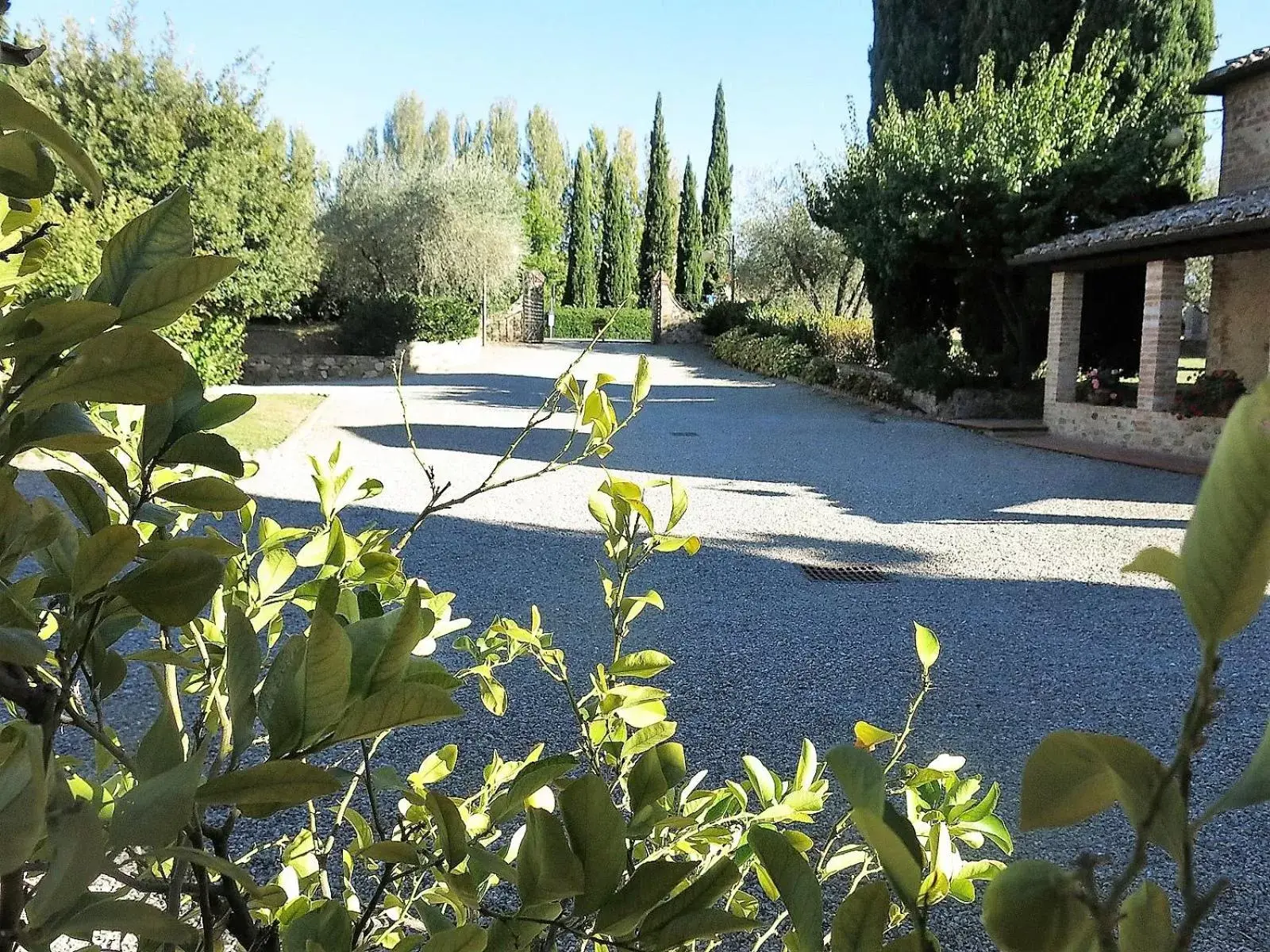 Garden, Swimming Pool in Villa Curina Resort