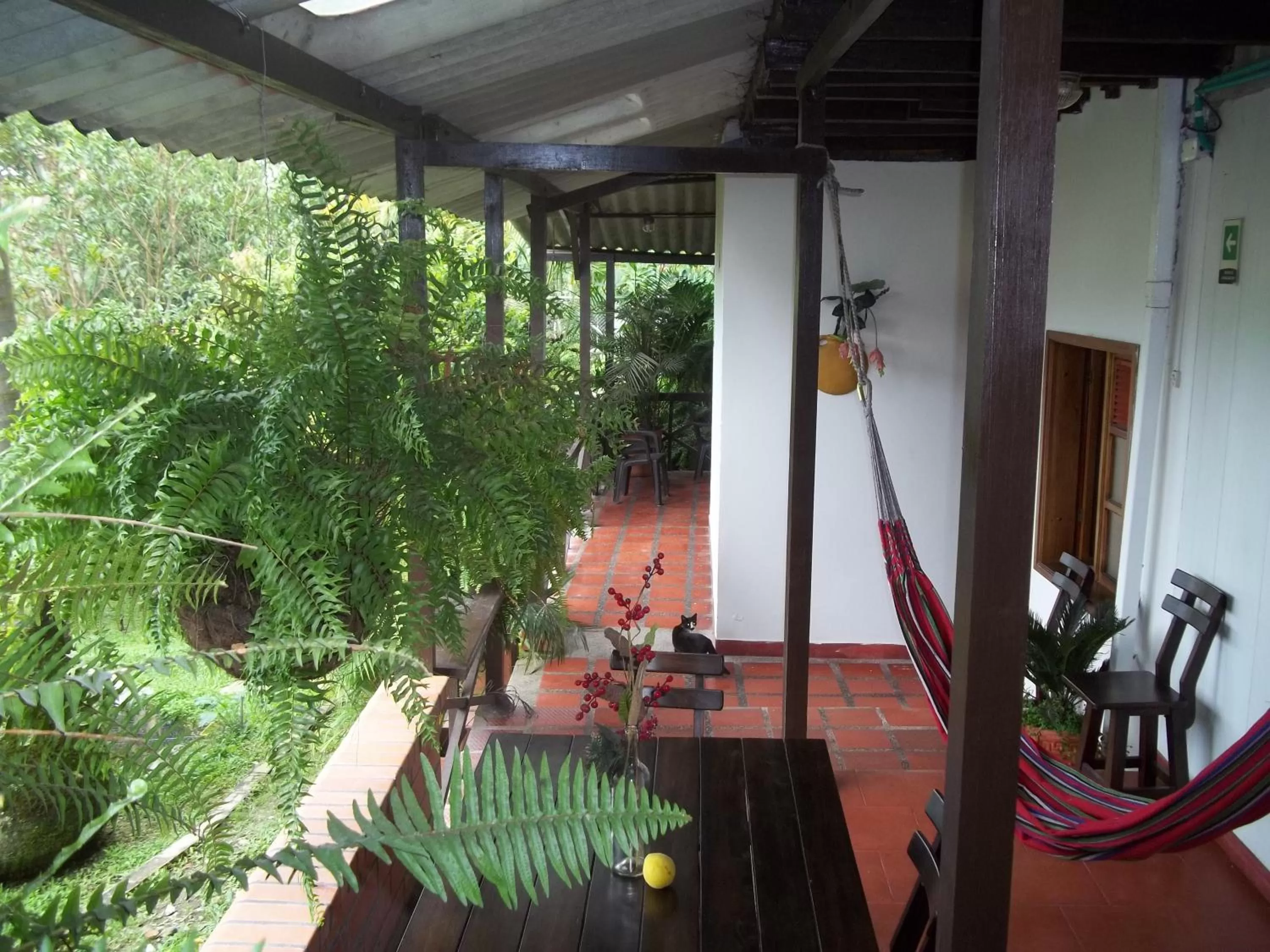 Cabañas Las Bifloras