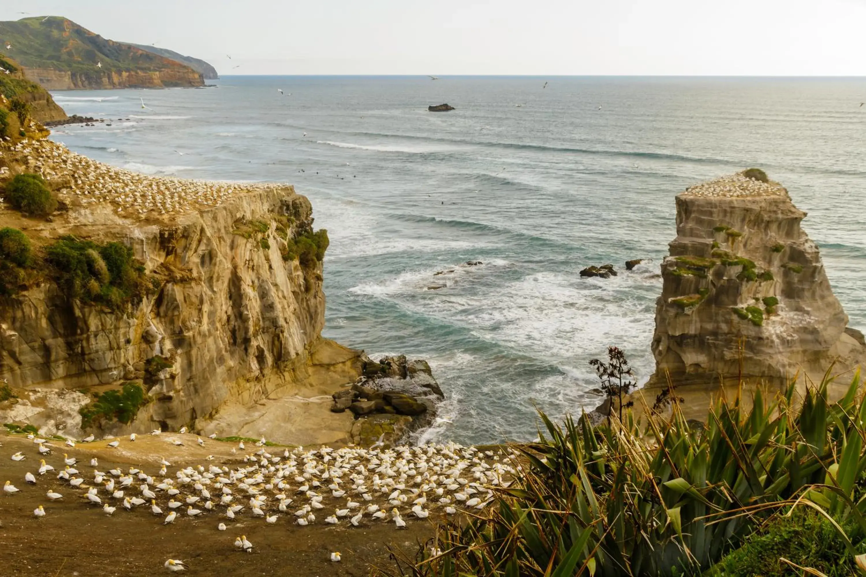 Natural Landscape in Maison de Rose