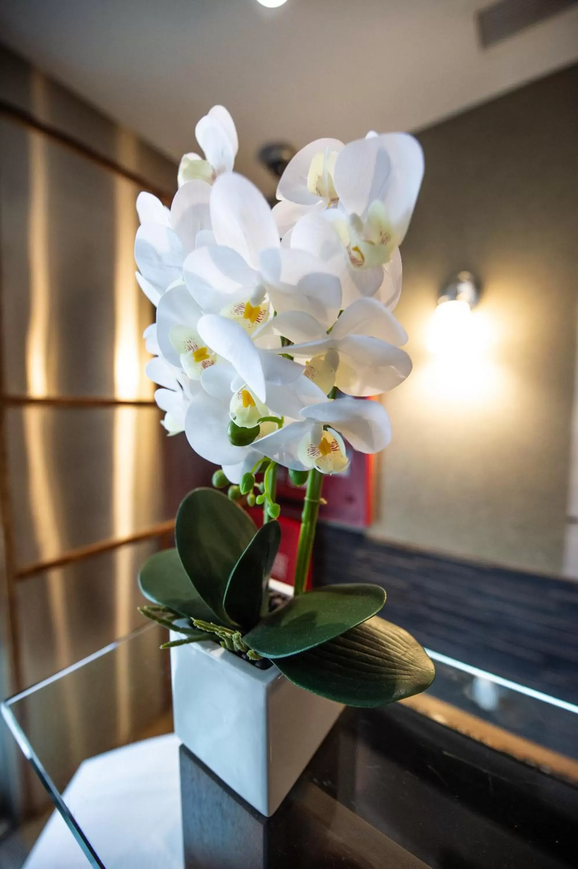 Lobby or reception in Solita Soho Hotel Lobby or reception in Solita Soho Hotel