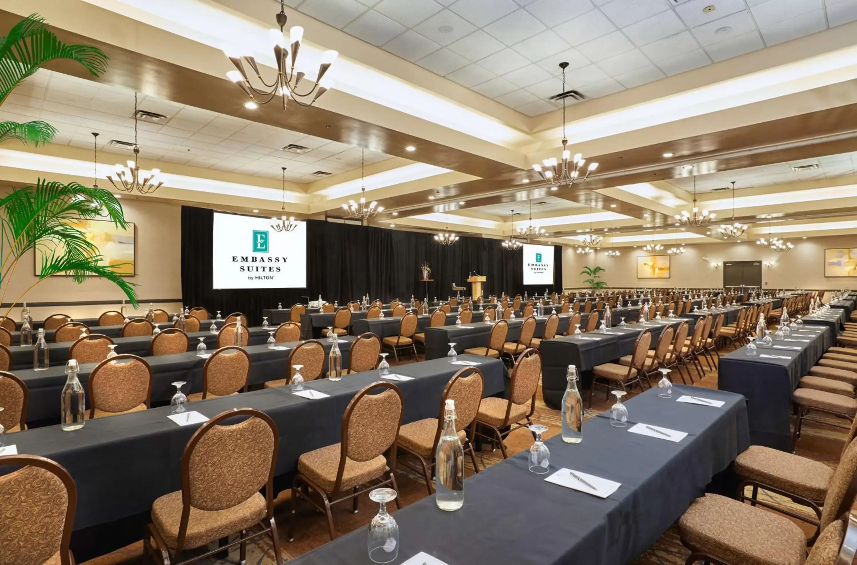 Meeting/conference room in Embassy Suites by Hilton Phoenix Scottsdale