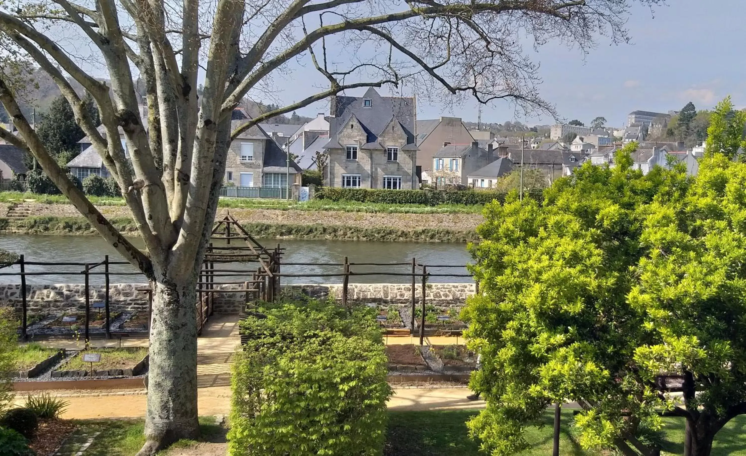 Garden view in Hôtel Ginkgo - SPA Biloba