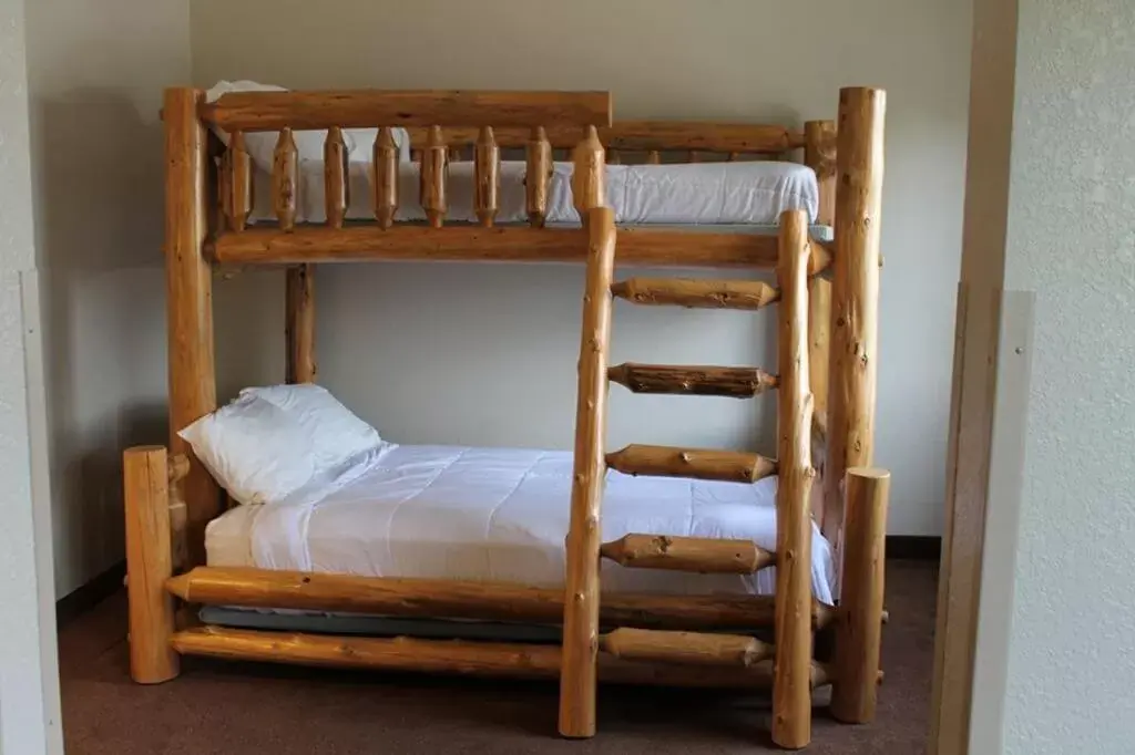 Bunk Bed in Edmore Inn