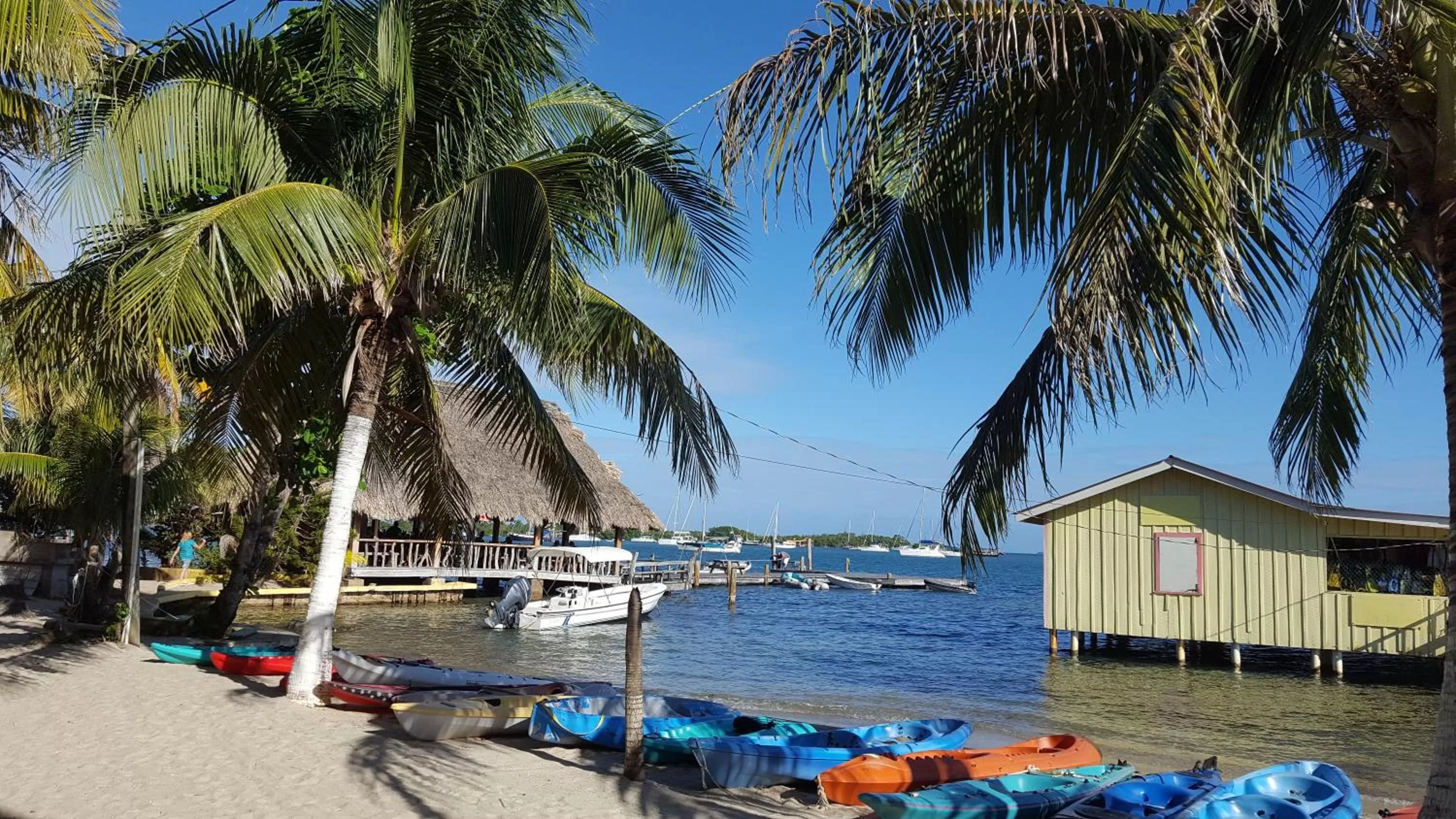 View (from property/room) in Alan's Paradise Hotel