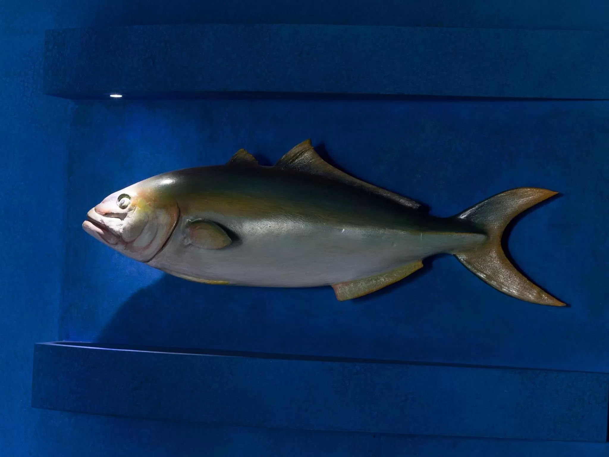 Decorative detail in Tra Le Braccia di Morfeo