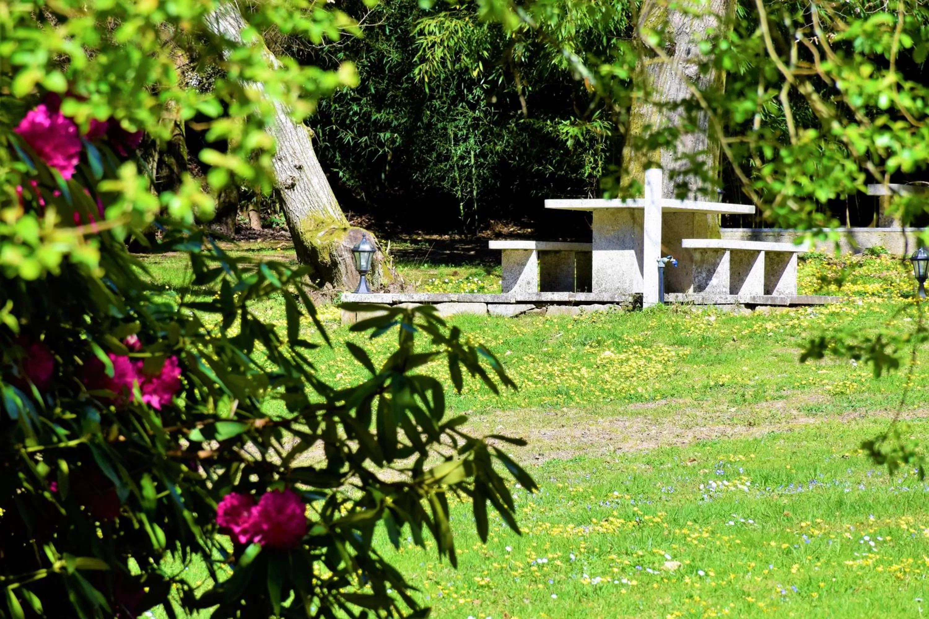 Garden in Casa a Pedreira Rias Baixas