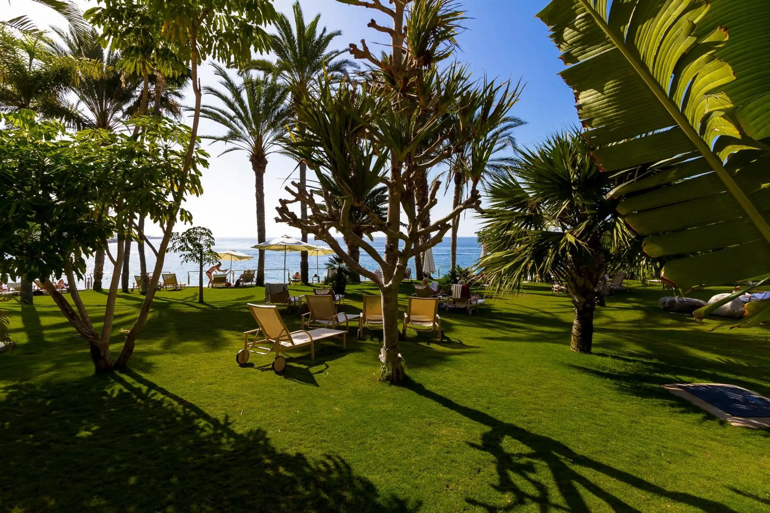 Garden in Radisson Blu Resort Gran Canaria