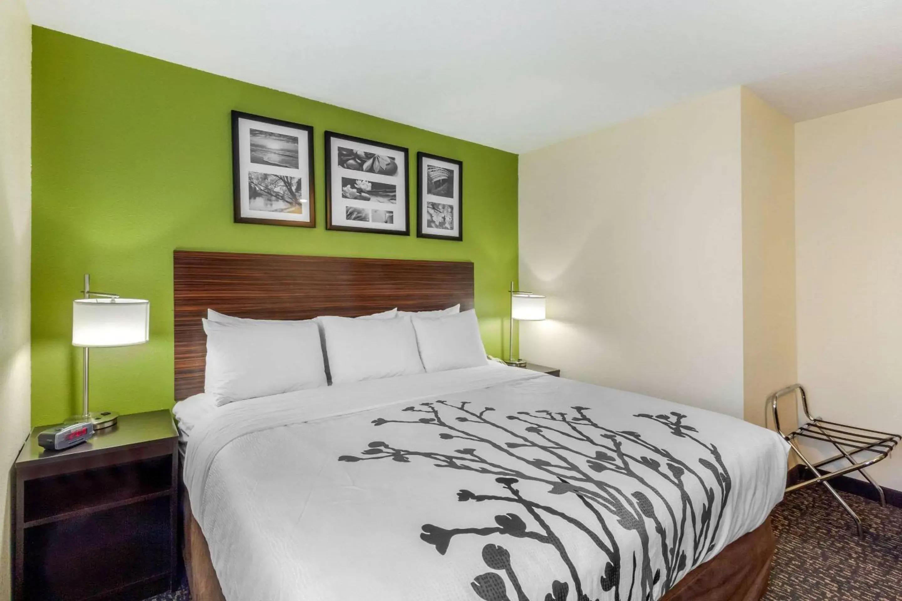 Photo of the whole room, Bed in Sleep Inn Ogden near Event Center Photo of the whole room, Bed in Sleep Inn Ogden near Event Center