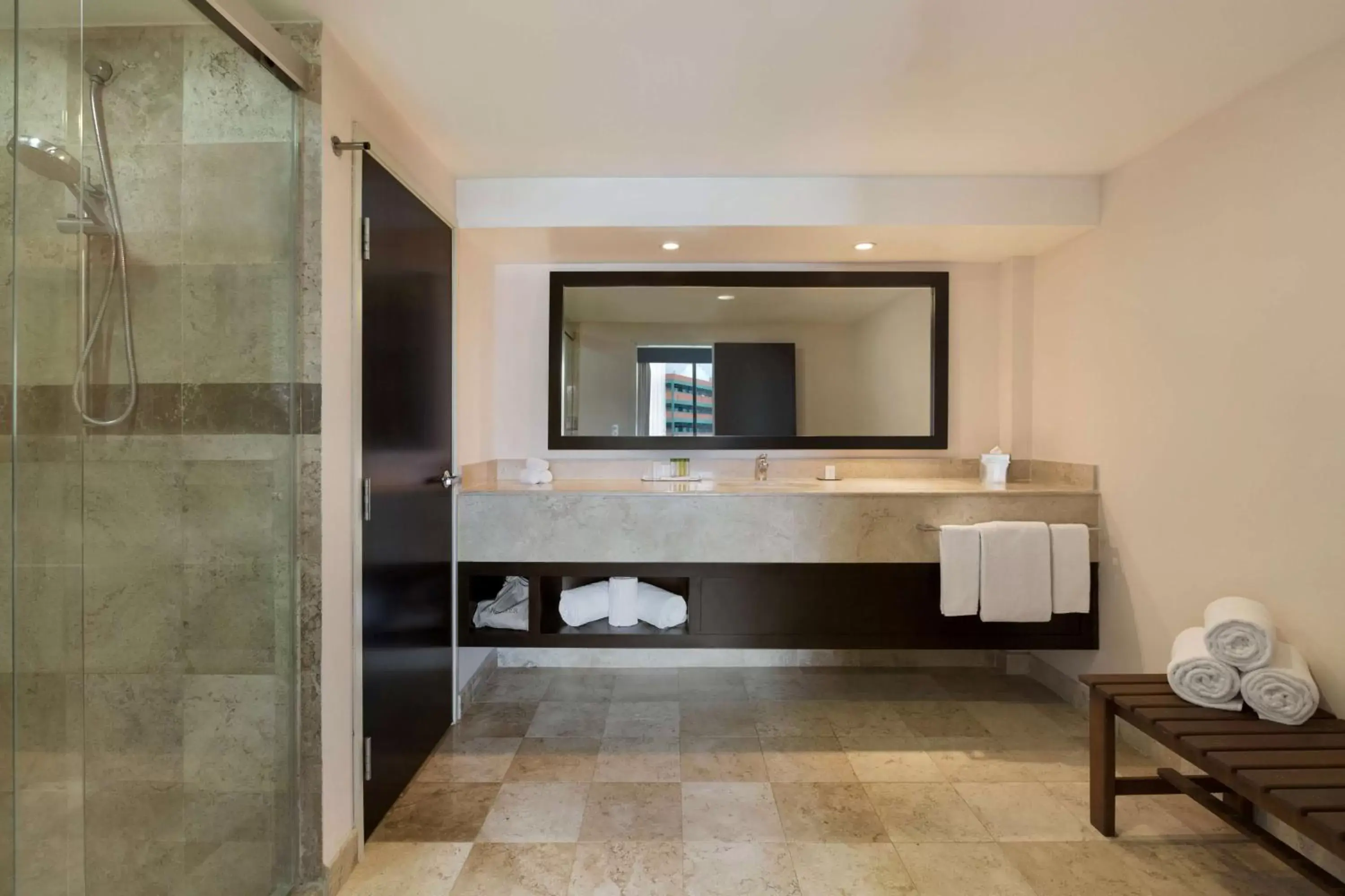 Bathroom in DoubleTree by Hilton Queretaro