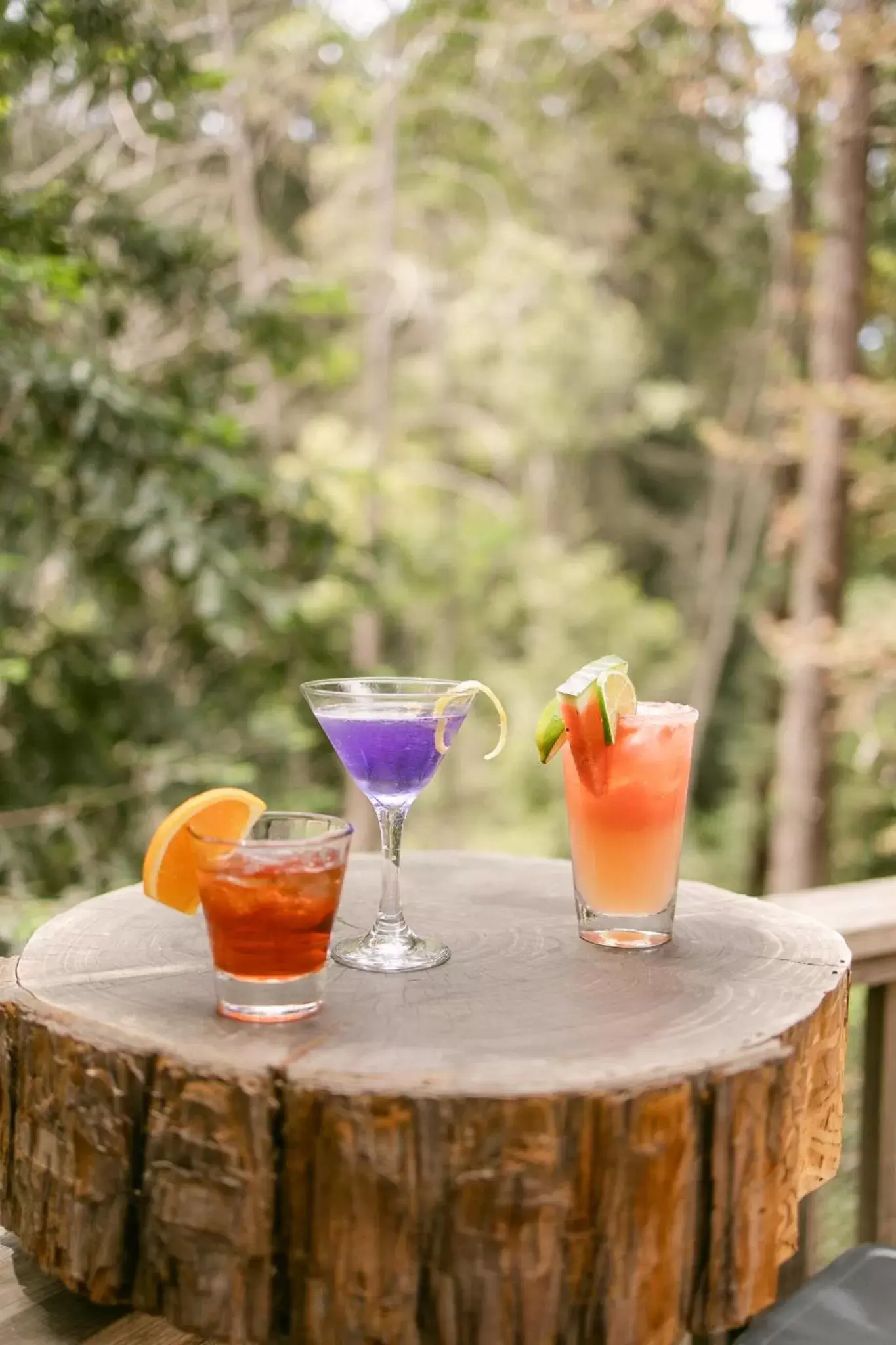 Lounge or bar, Drinks in Fernwood Resort