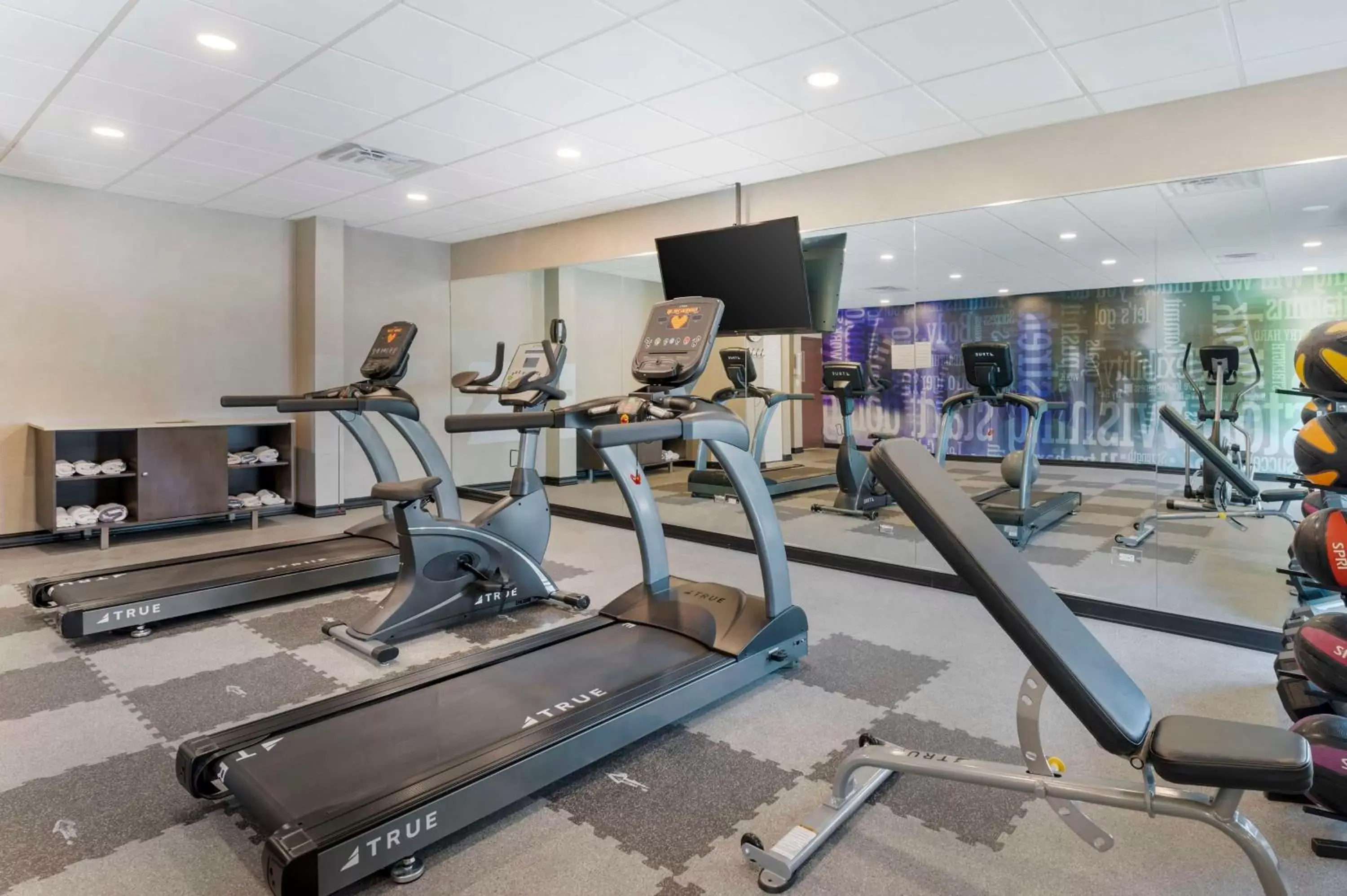 Fitness centre/facilities, Fitness Center/Facilities in Best Western Plus South Holland Chicago Southland